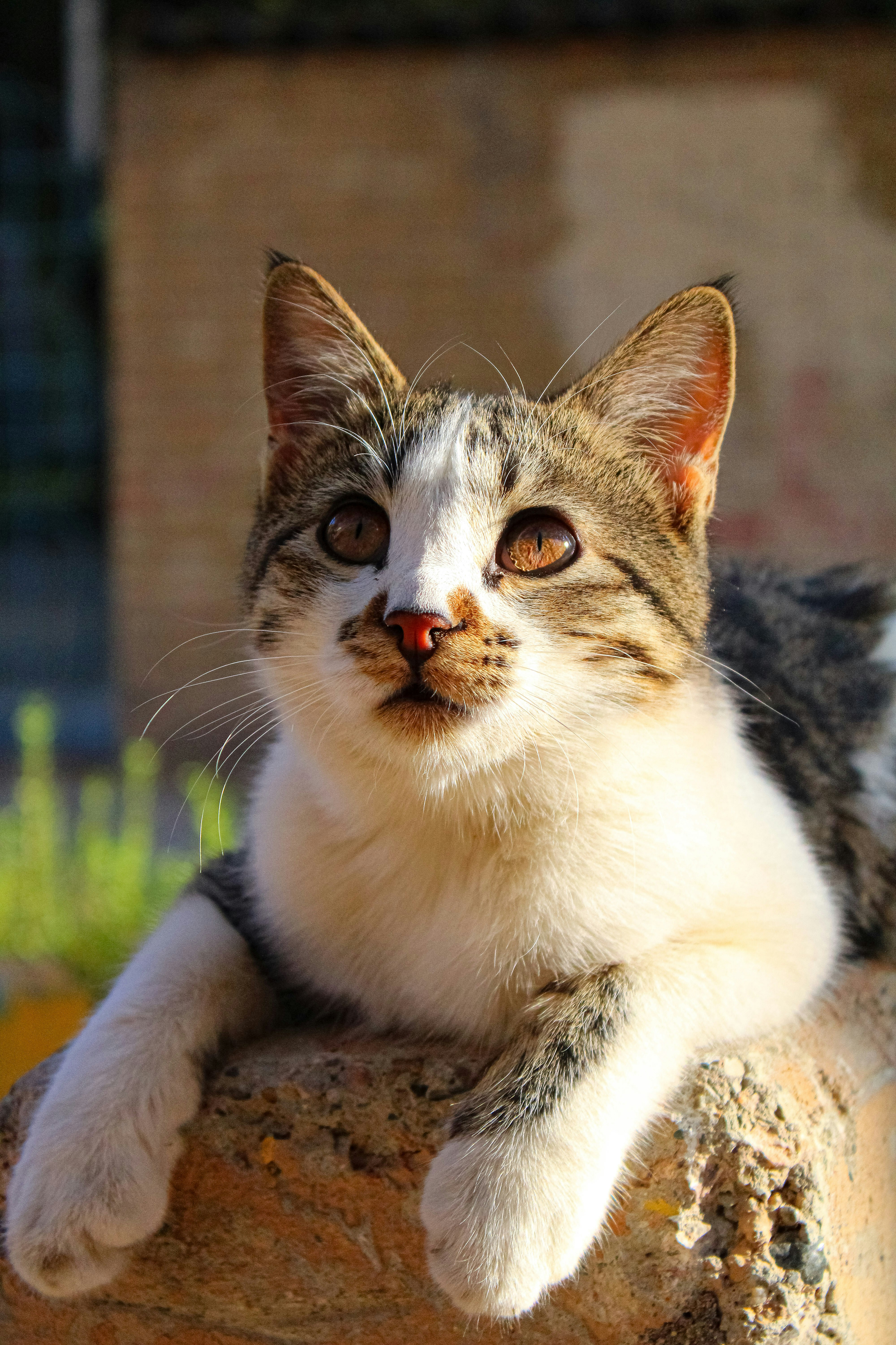 Photo by nouriehferdosian