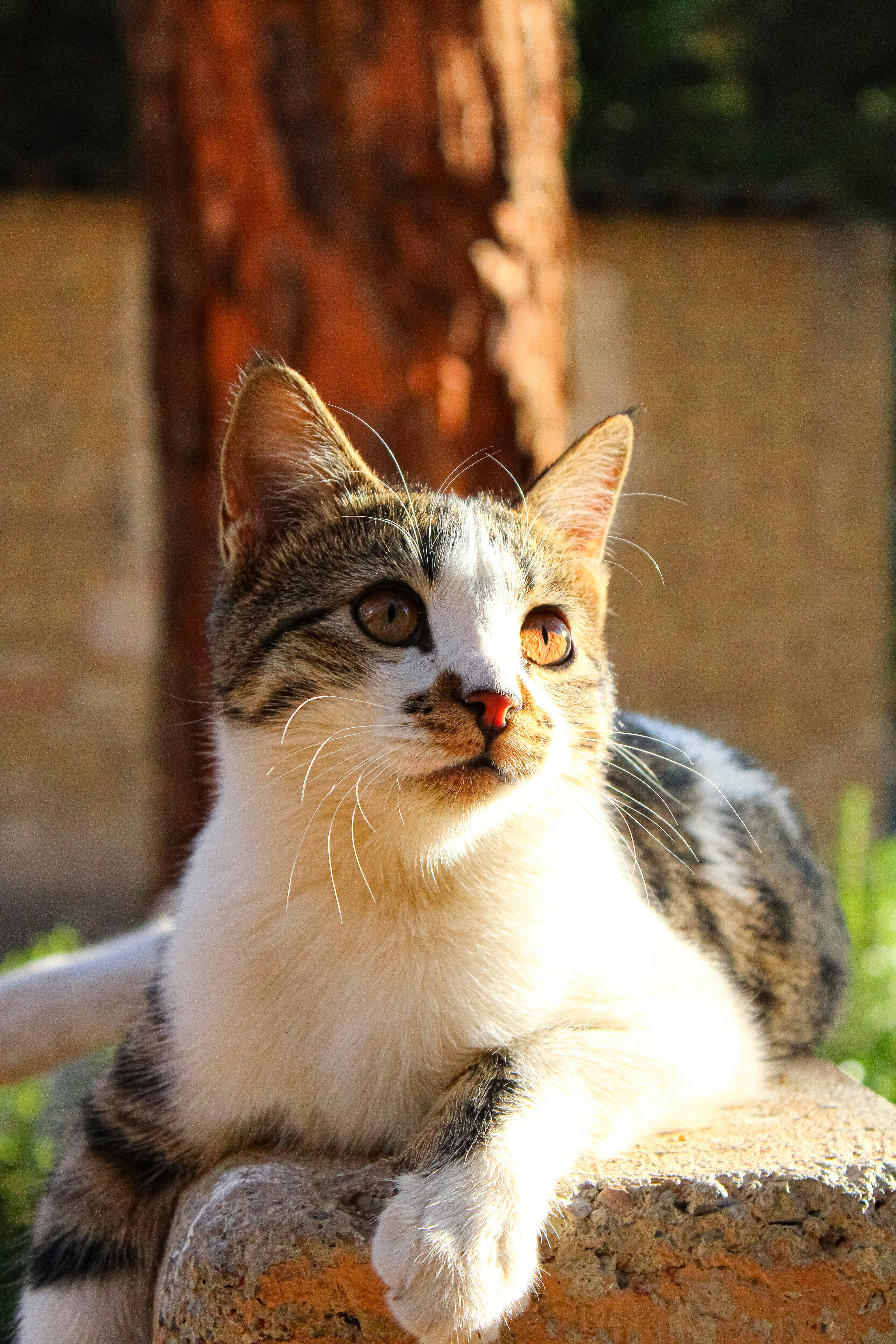 Photo by nouriehferdosian