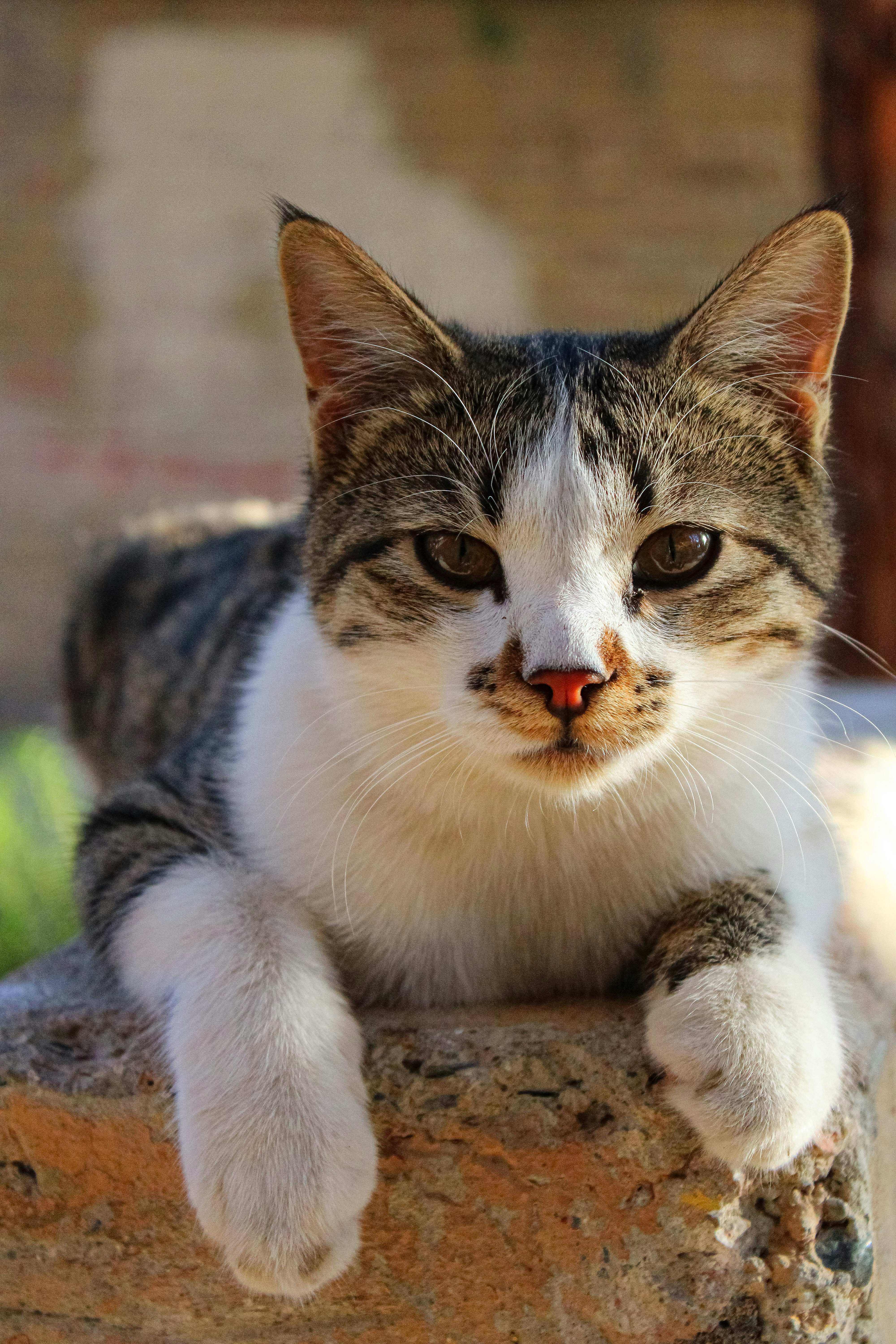 Photo by nouriehferdosian