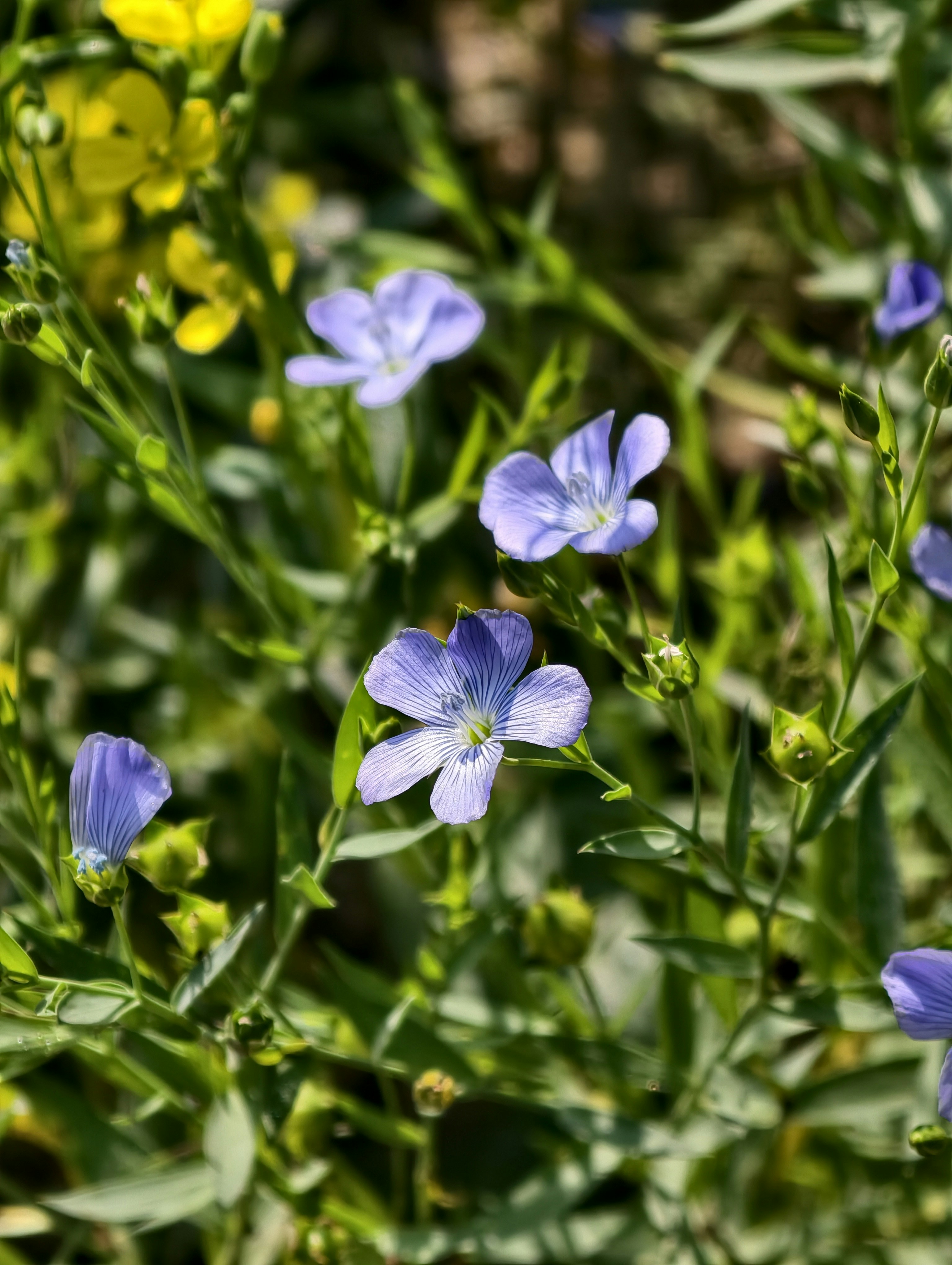 Photo by sudhanshu221b