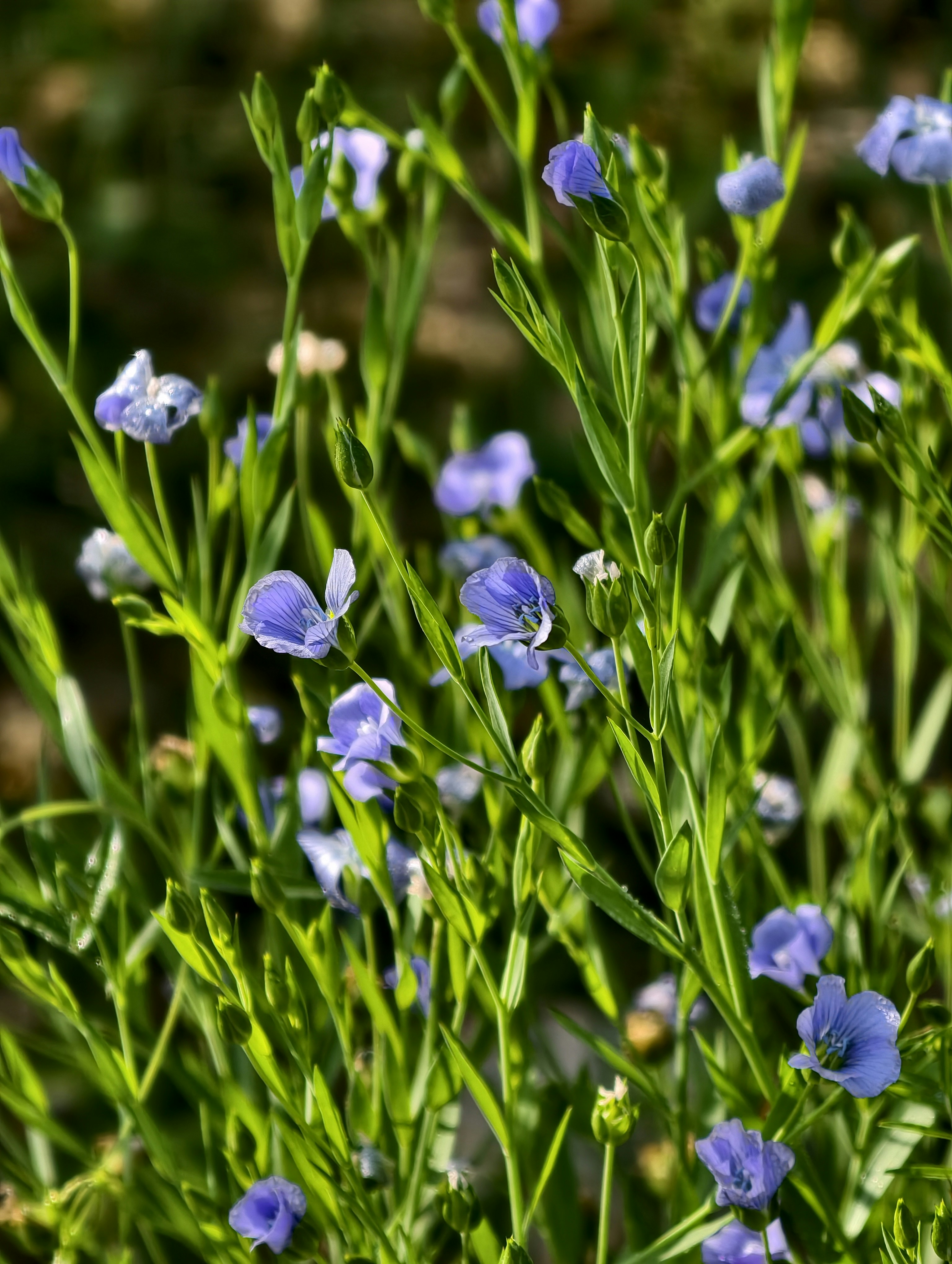 Photo by sudhanshu221b