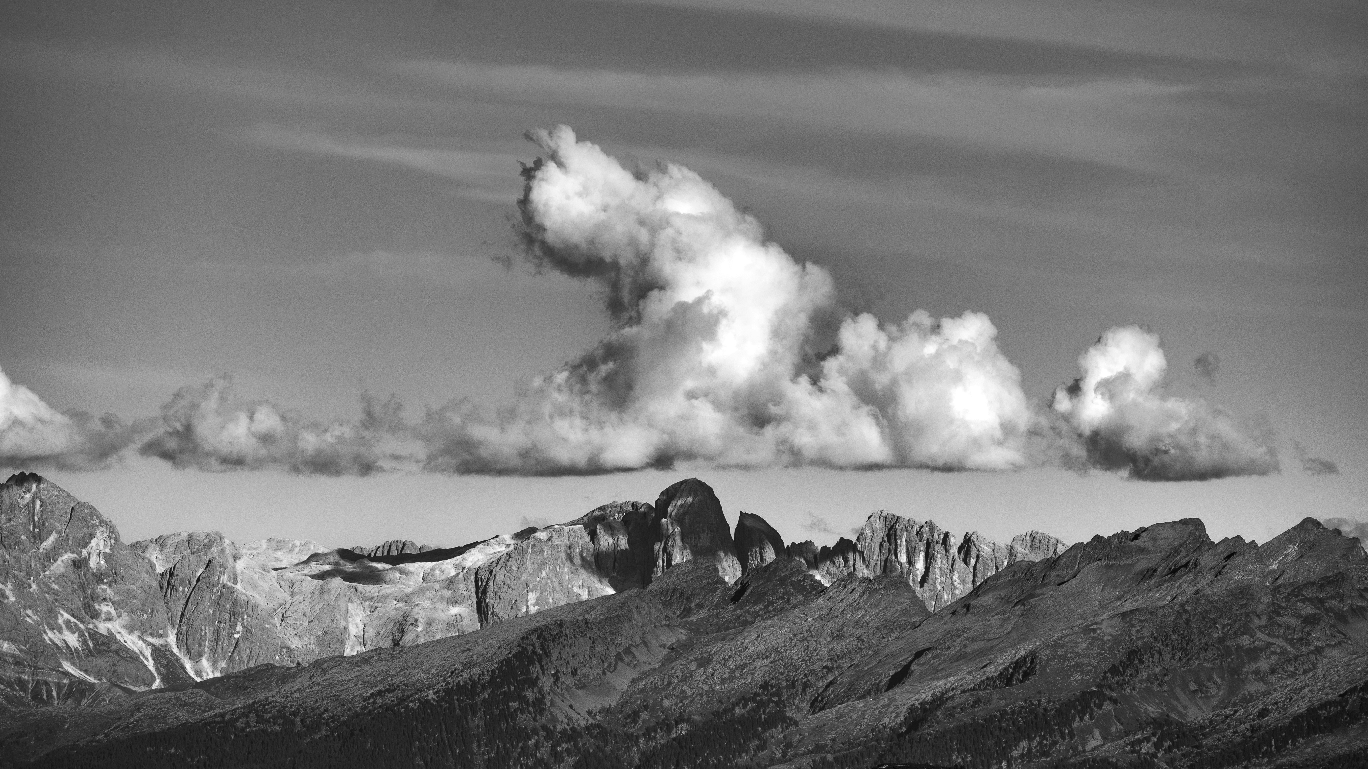 Photo by marekpiwnicki