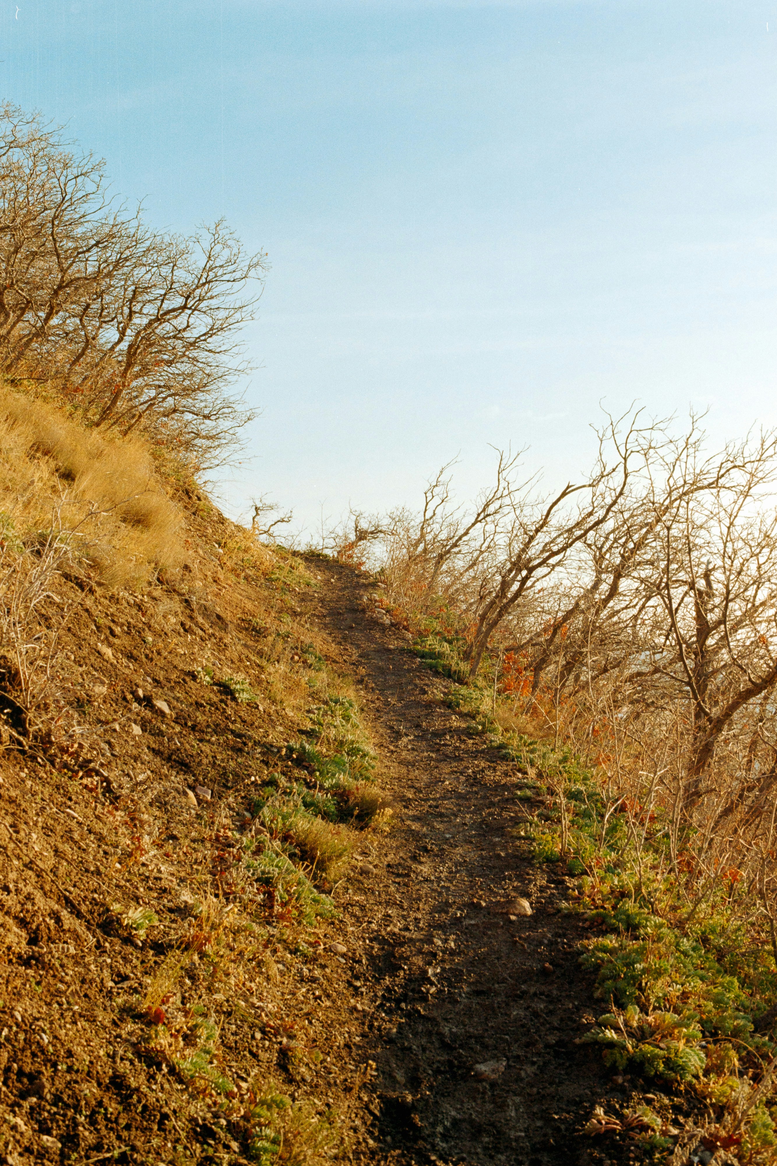 Photo by ukprajapati