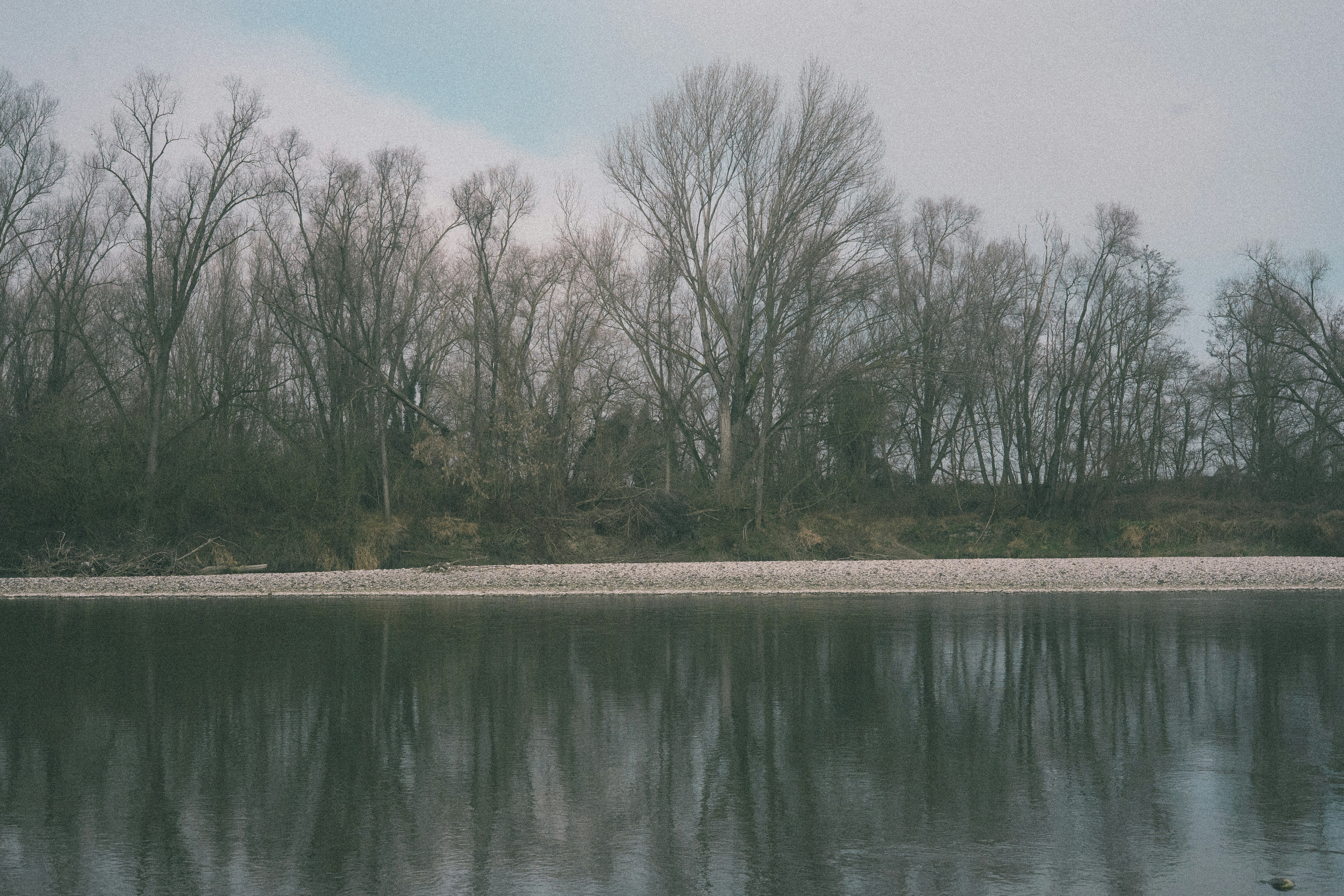 Photo by photograph_eevee