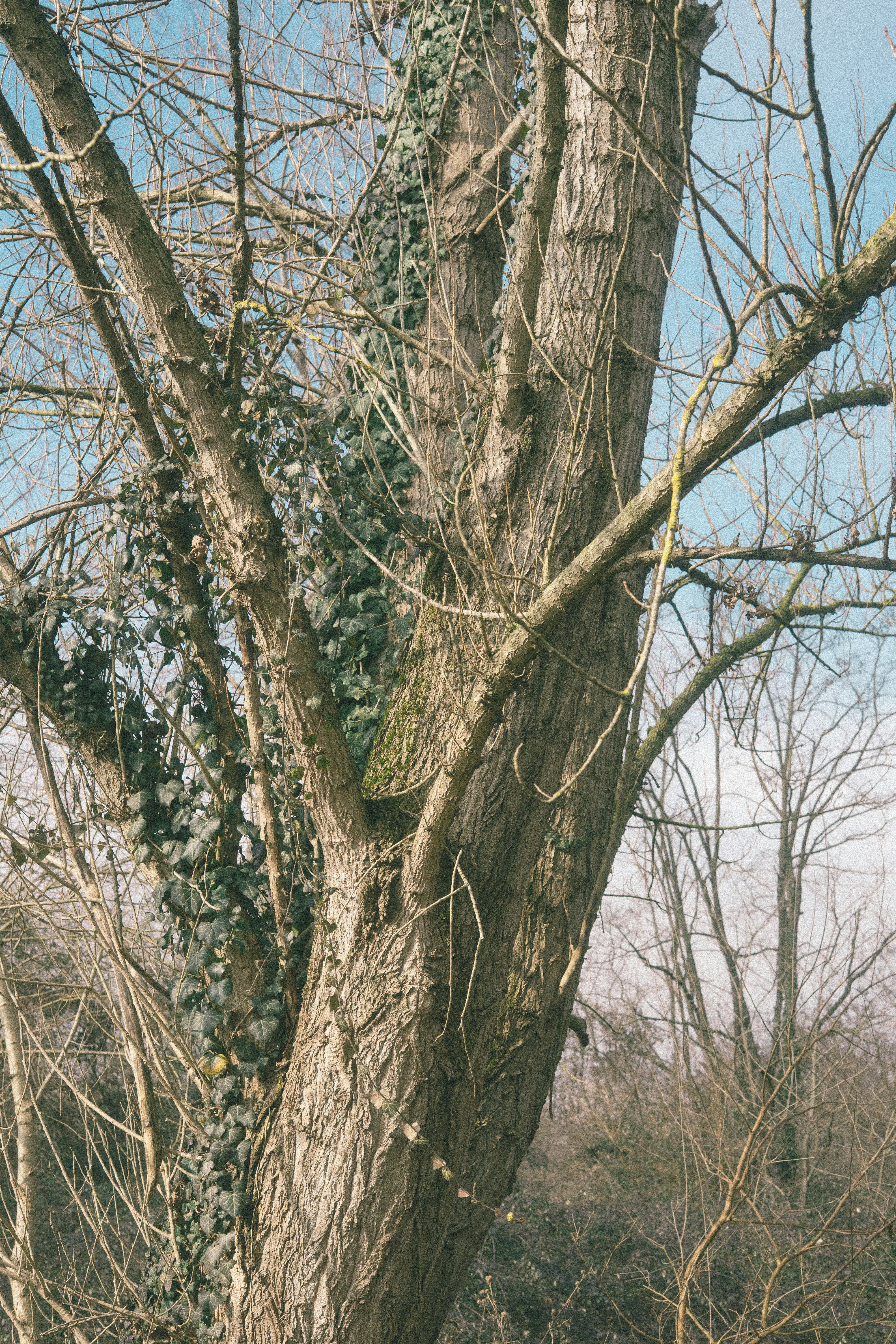 Photo by photograph_eevee