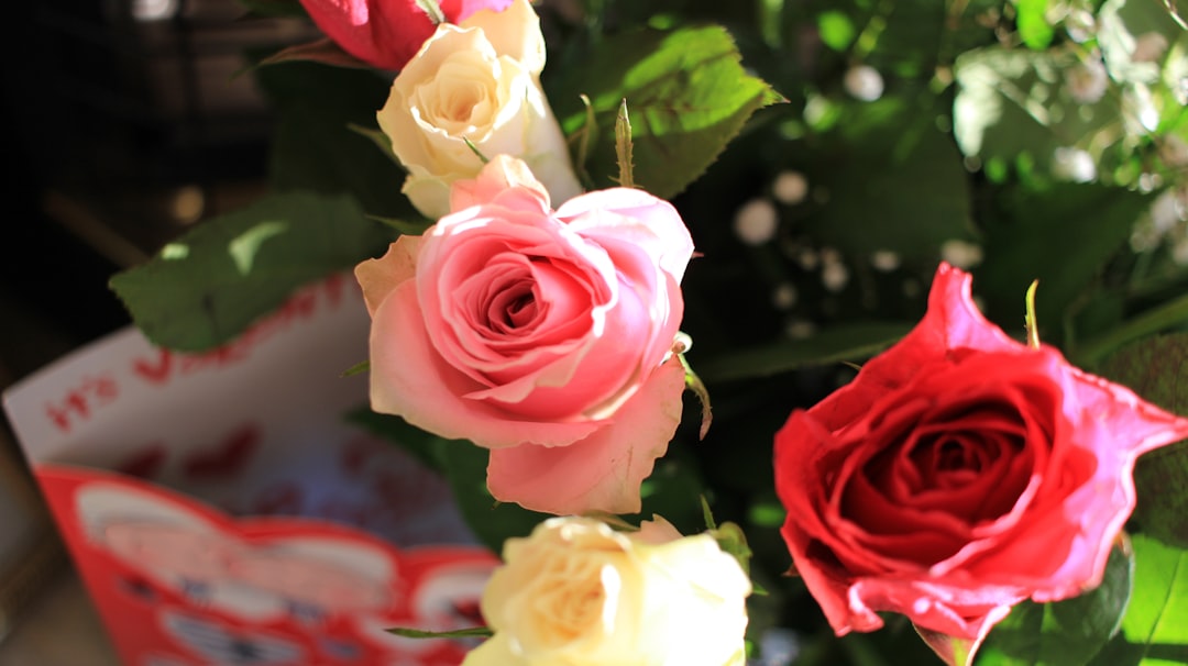 happy birthday roses bouquet happy birthday roses bouquet