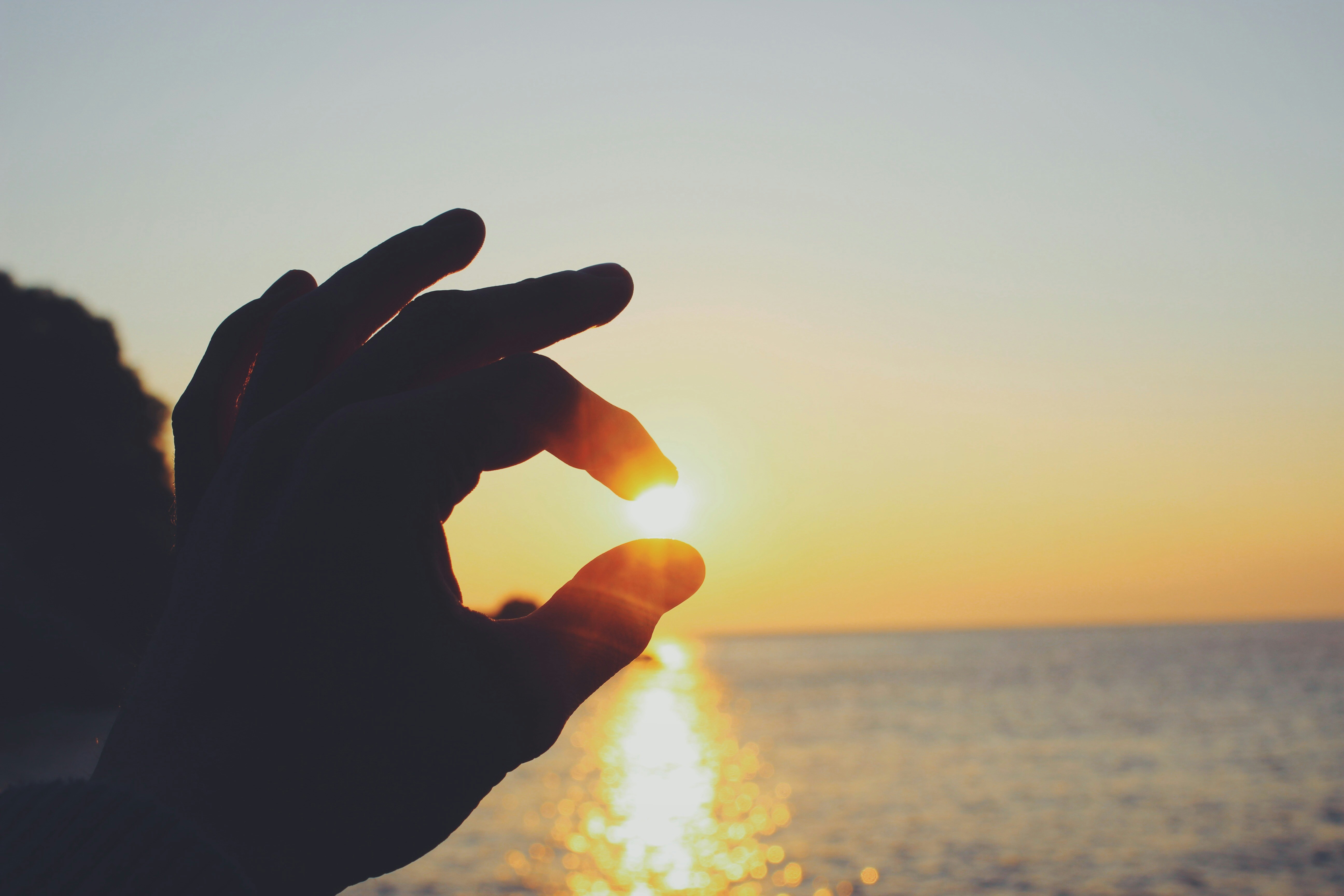 Photo by josocenmarti