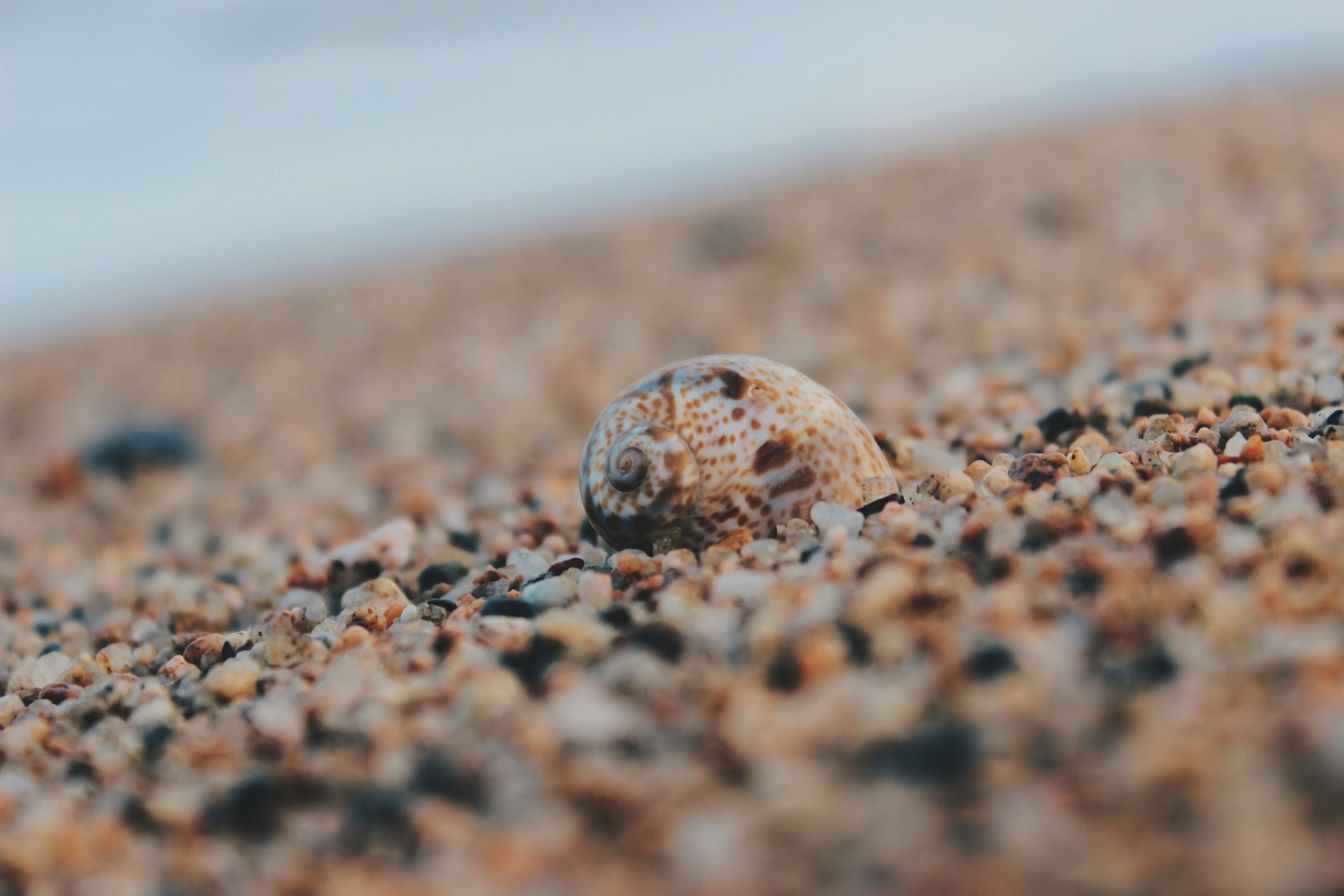 Photo by josocenmarti