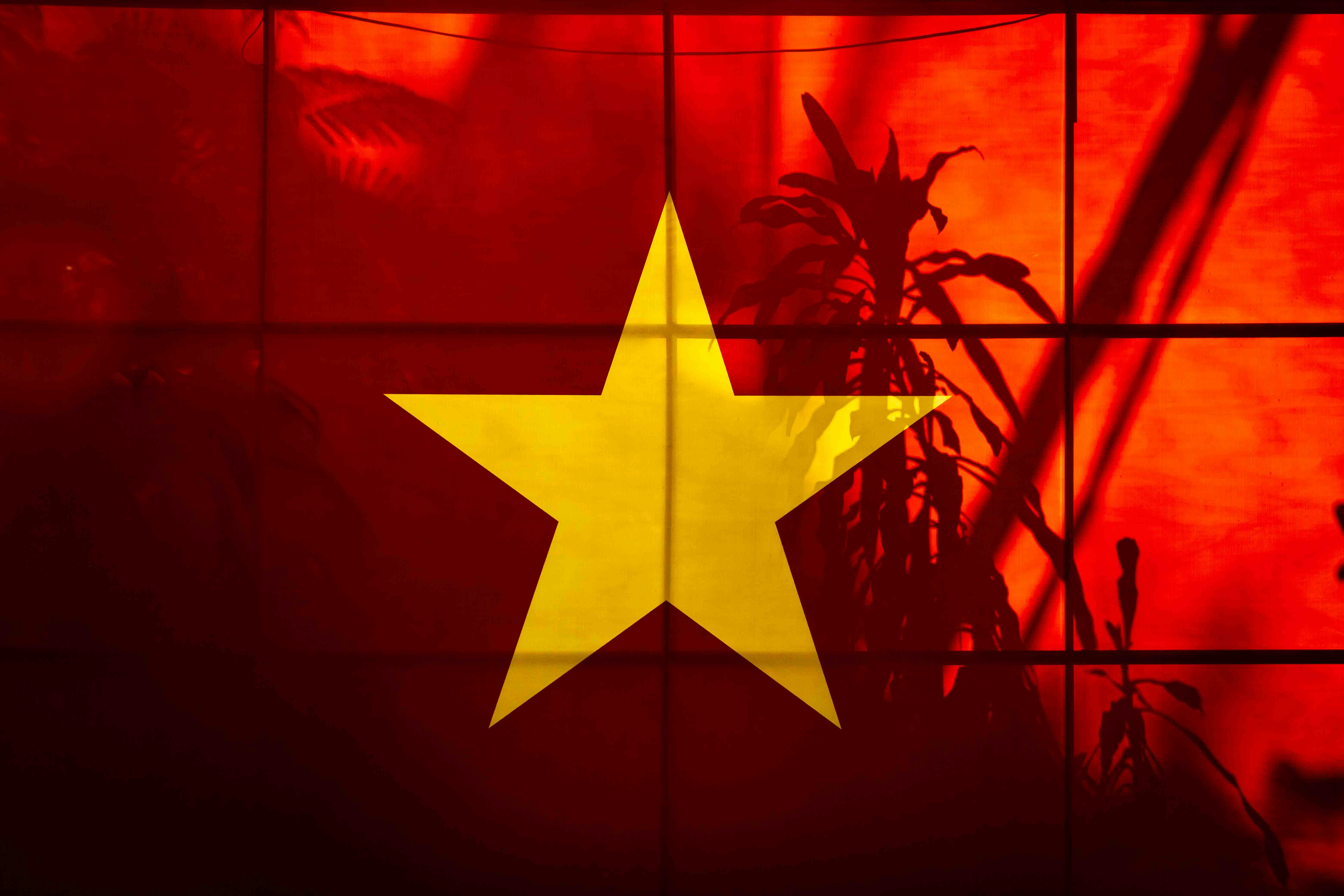 A yellow star on a red background with plant shadows
