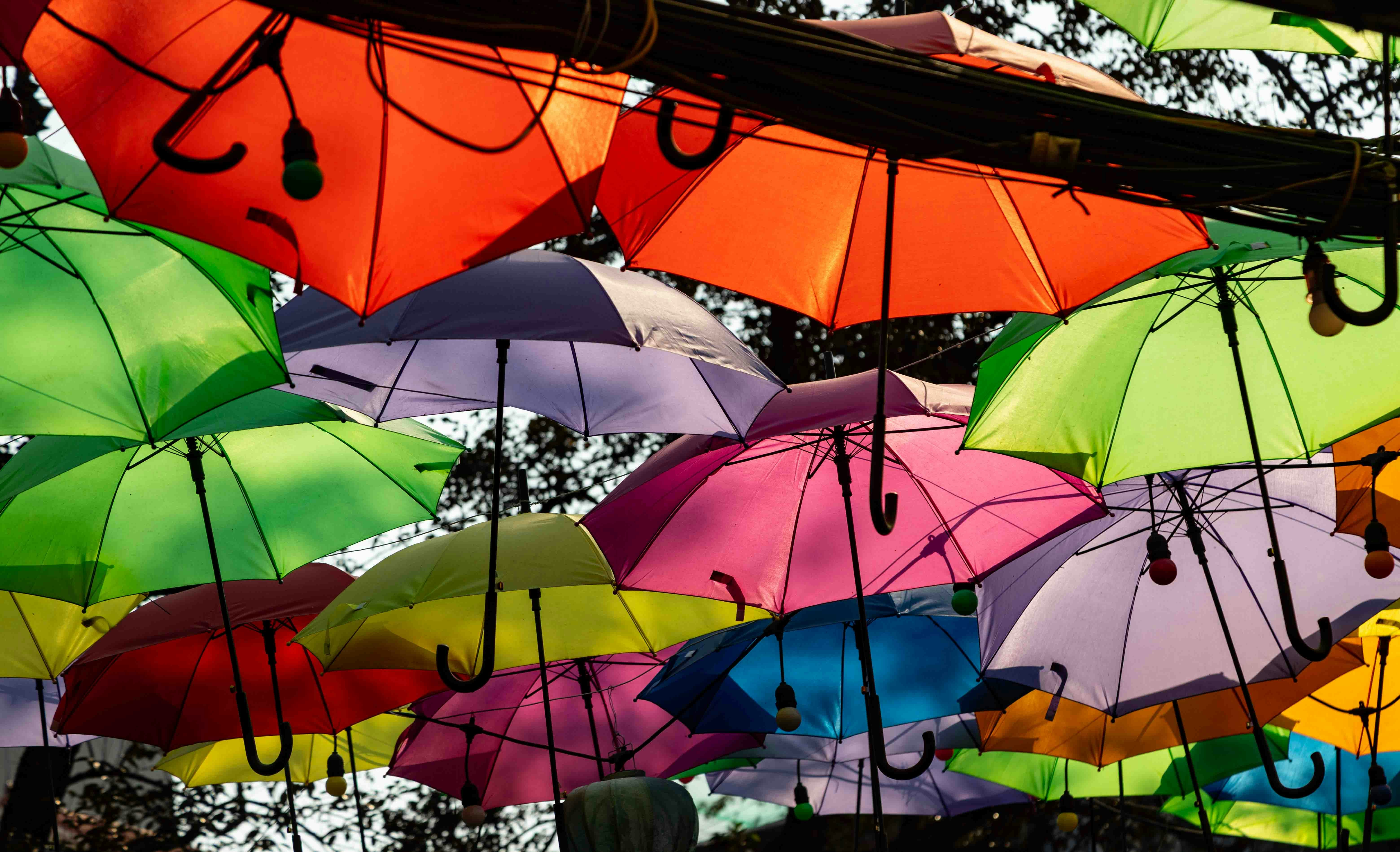 Colorful umbrellas hanging overhead in an outdoor setting.