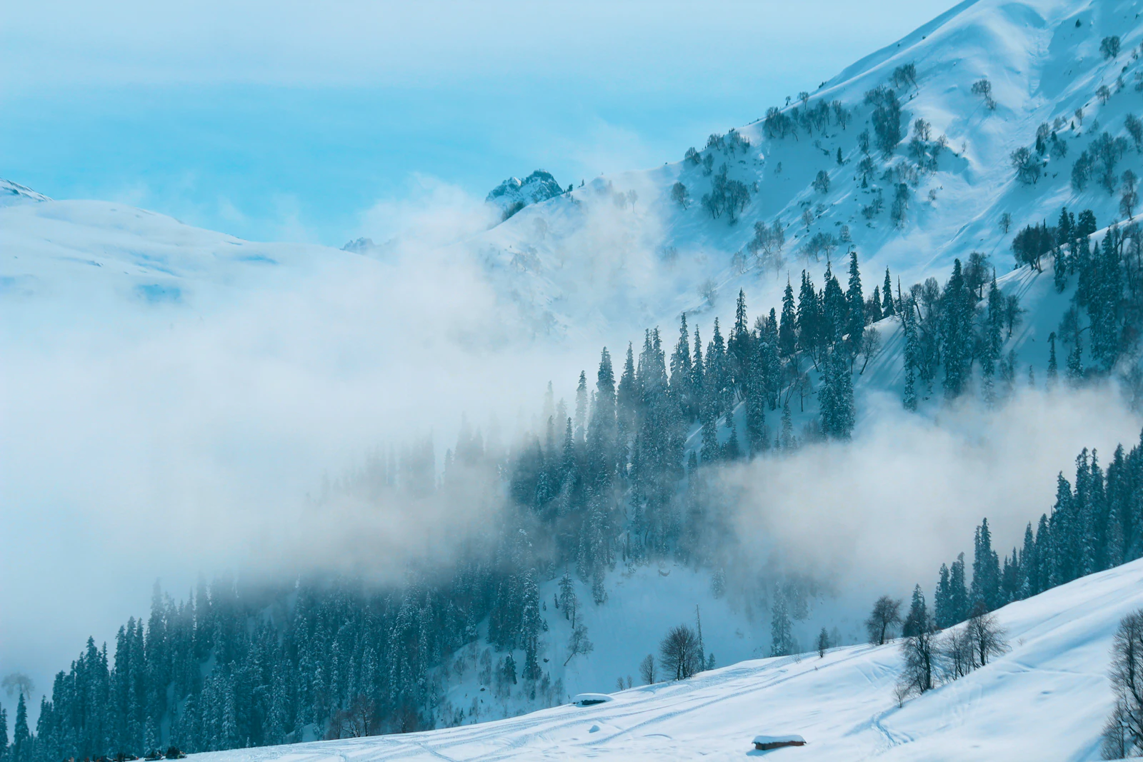 Kashmir Winter Wonderland — Gulmarg
