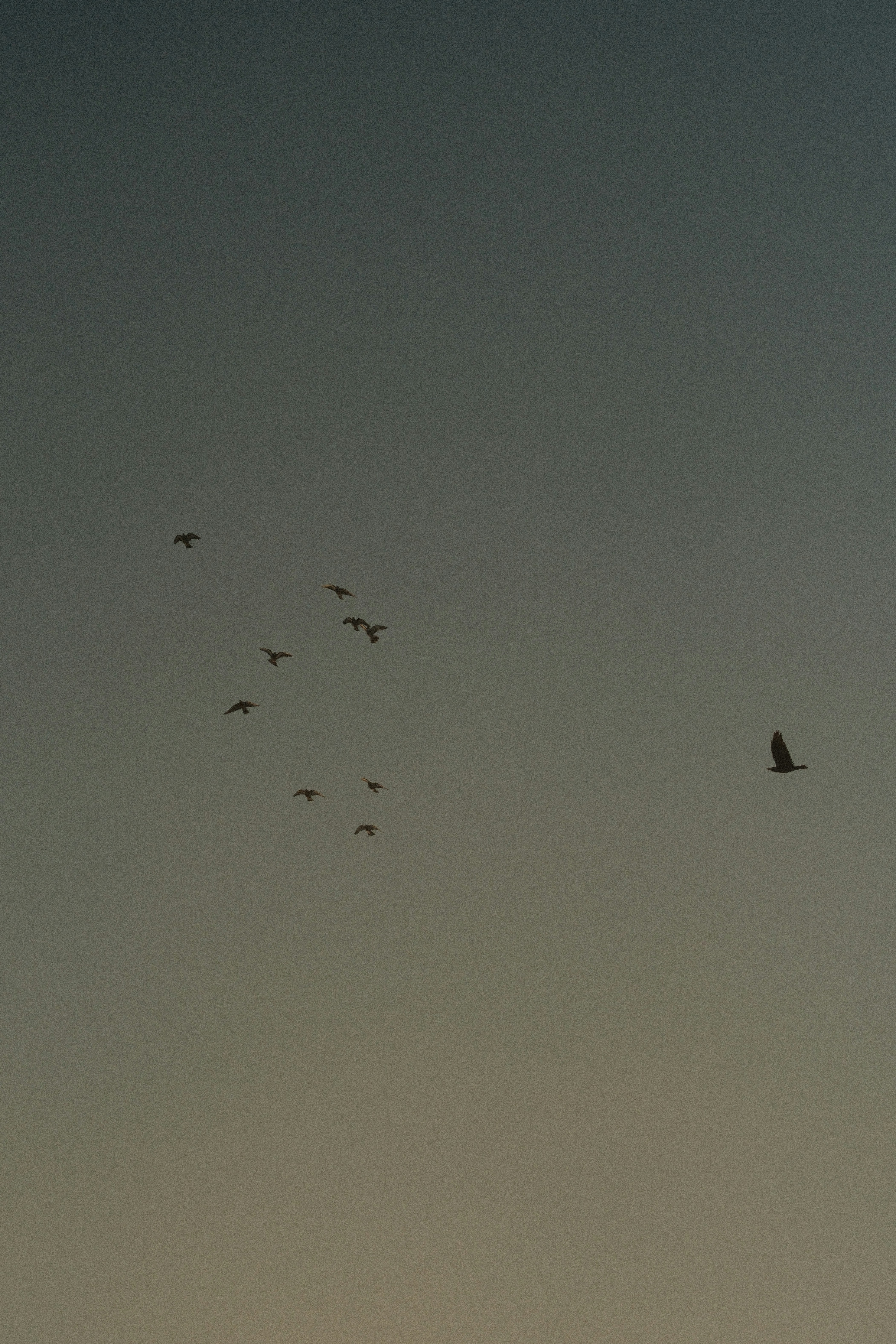 Photo by kolesnykyan