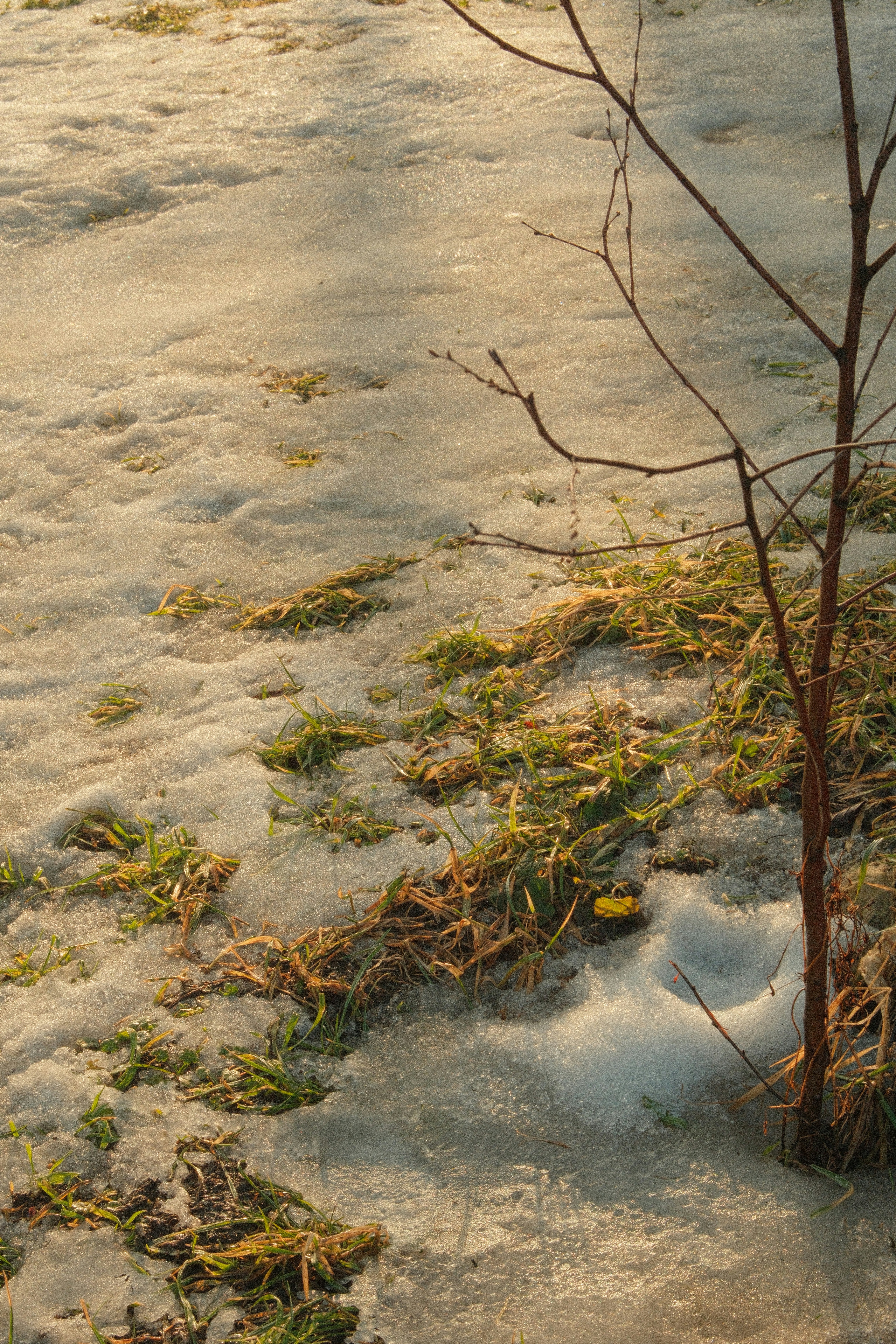 Photo by kolesnykyan