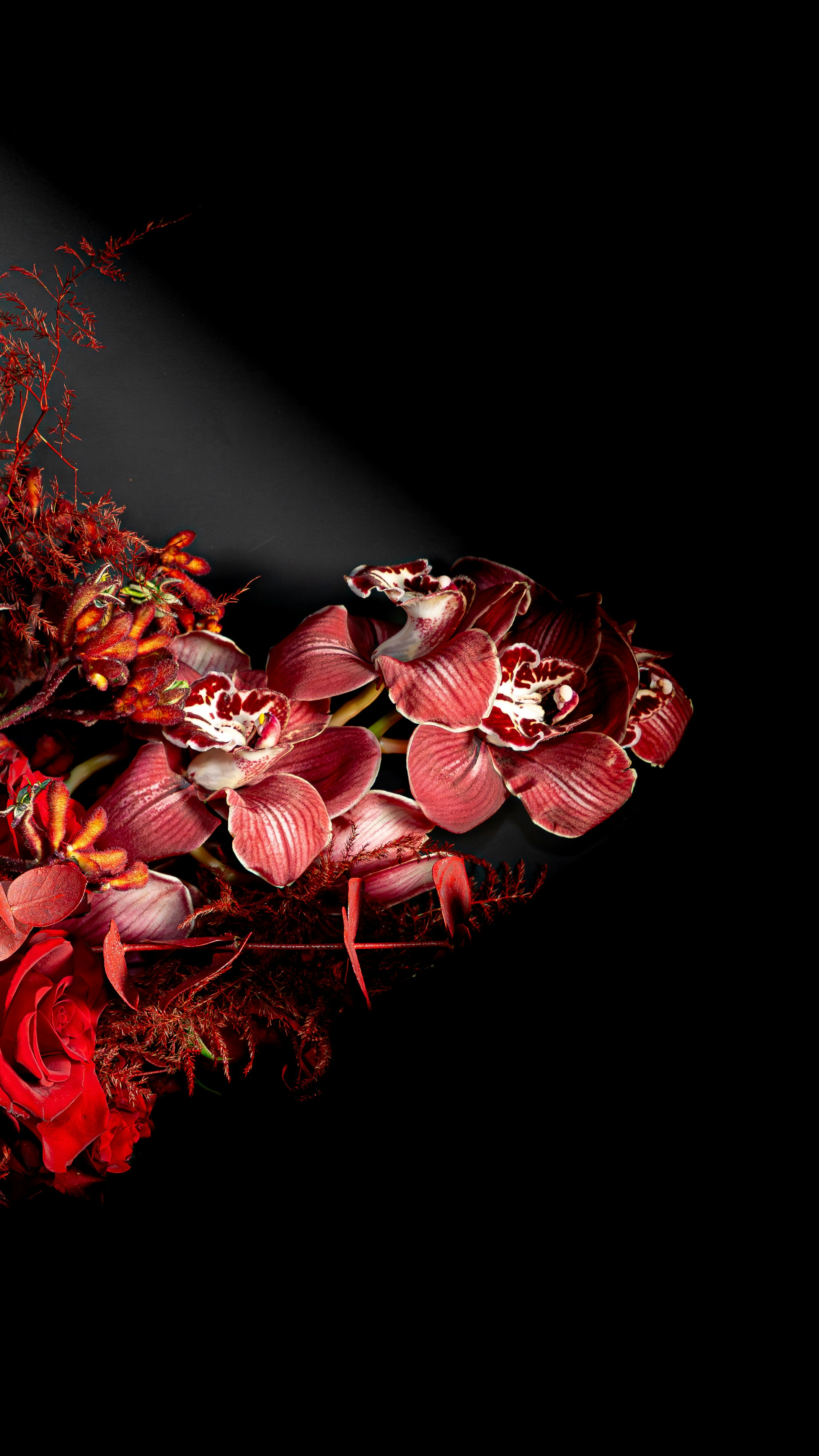 Dark red orchids and foliage illuminated by spotlight.