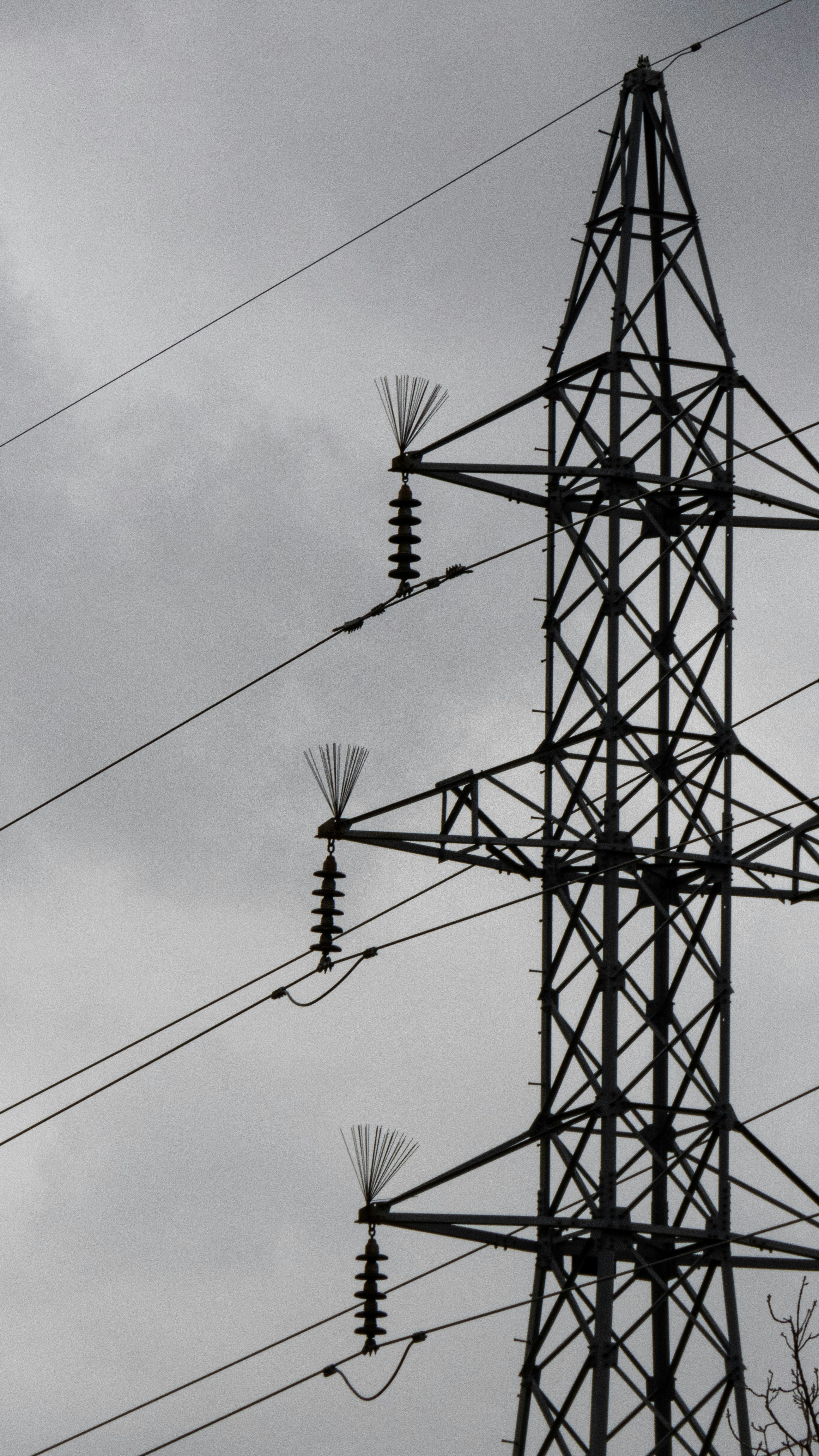 Photo by sinamoshtaghi