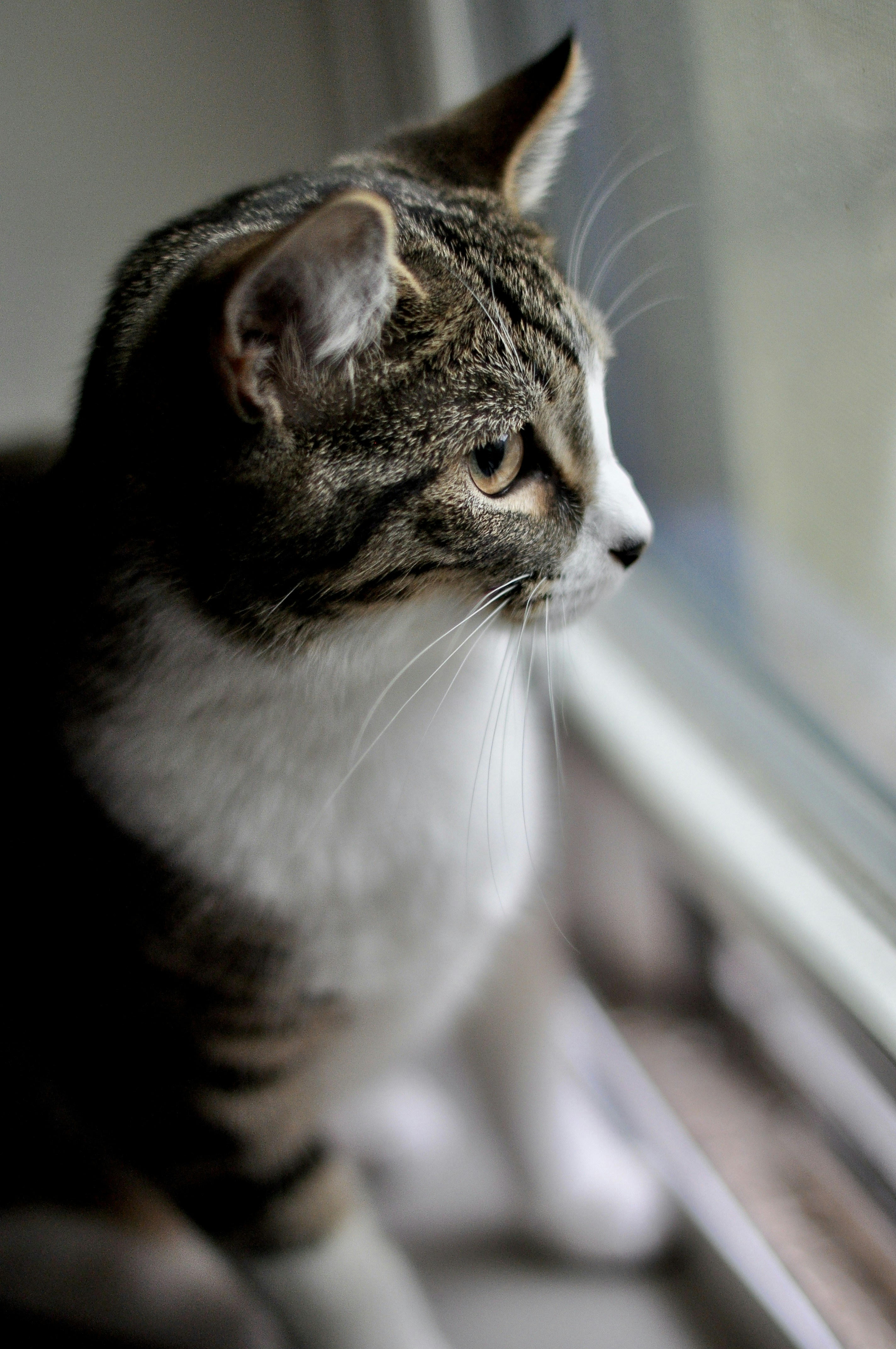 Photo by cameramandan83