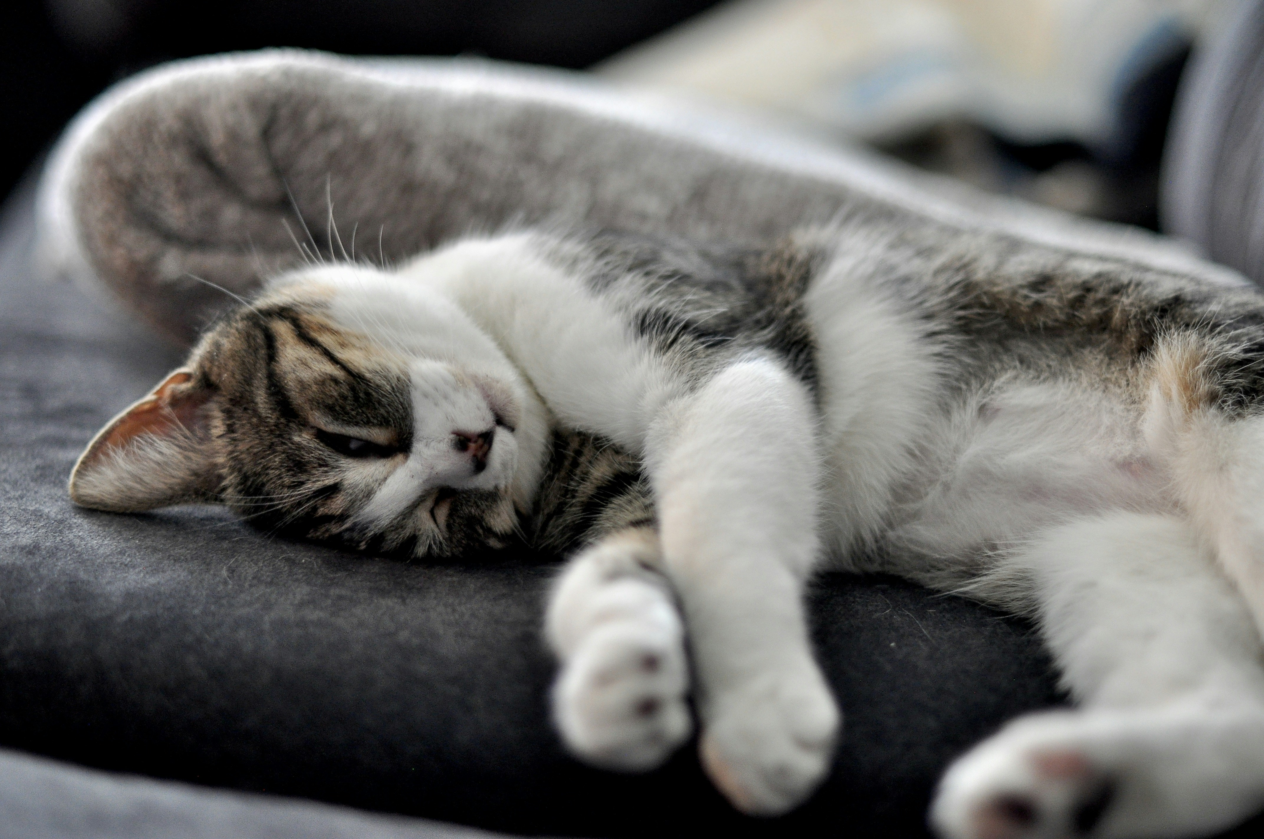 Photo by cameramandan83