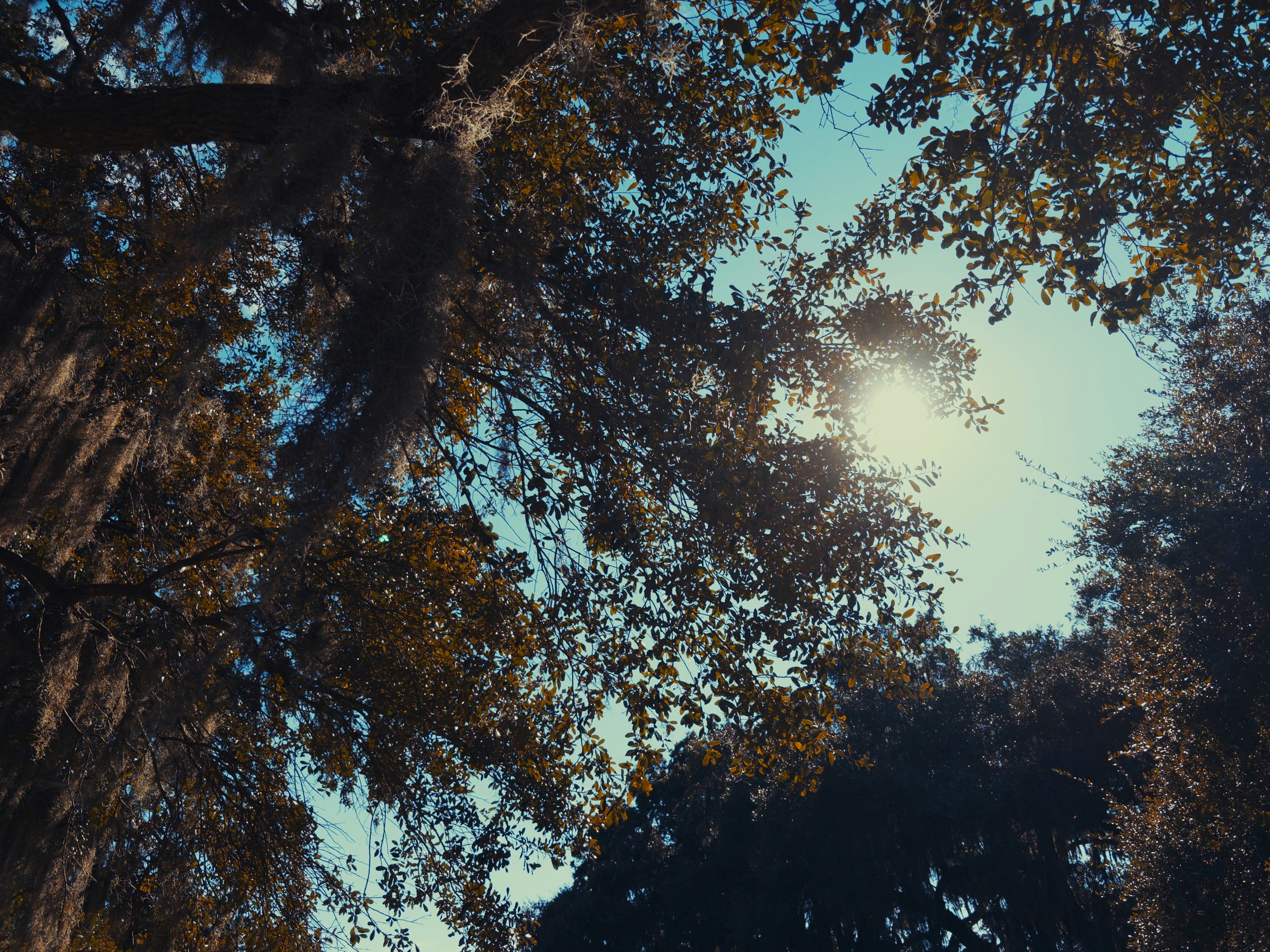 Photo by oceanfronts