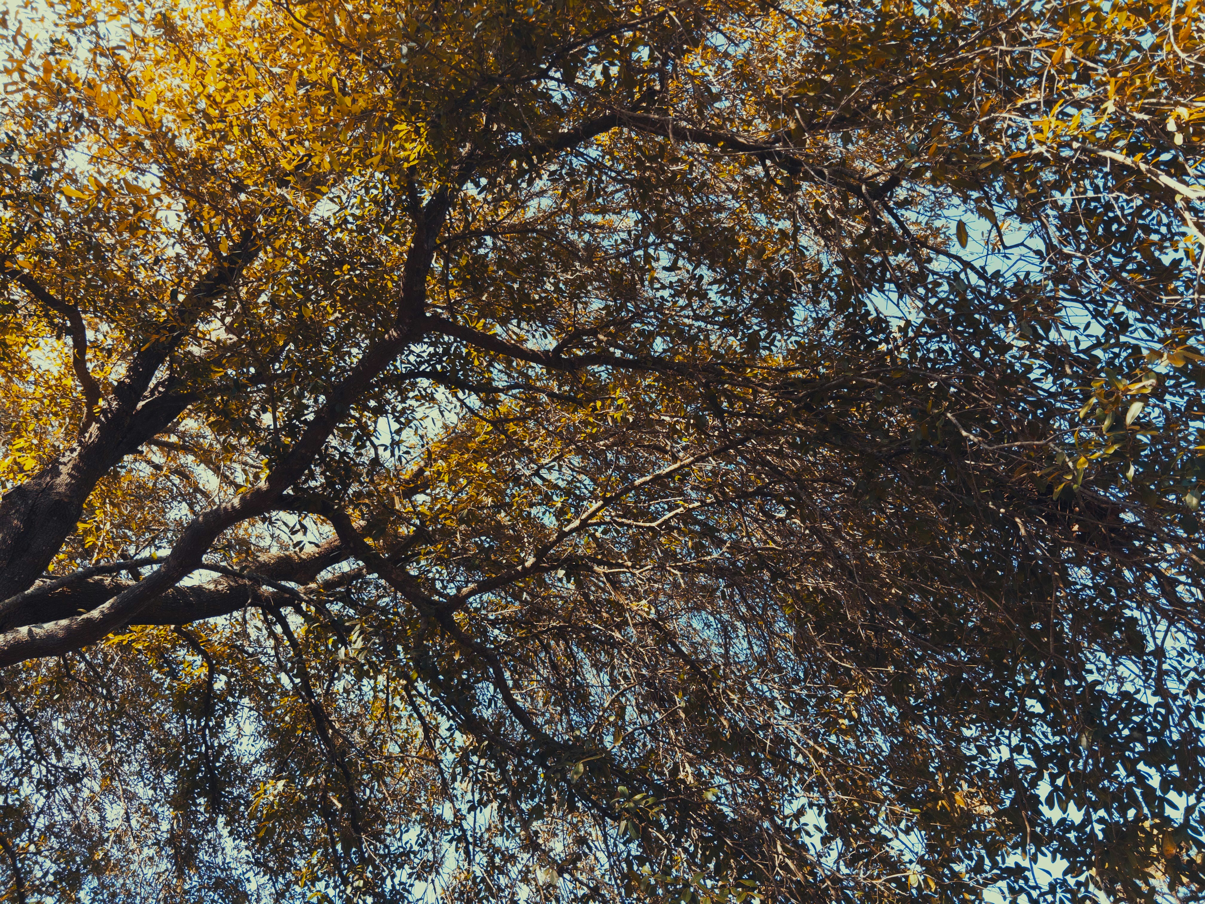 Photo by oceanfronts