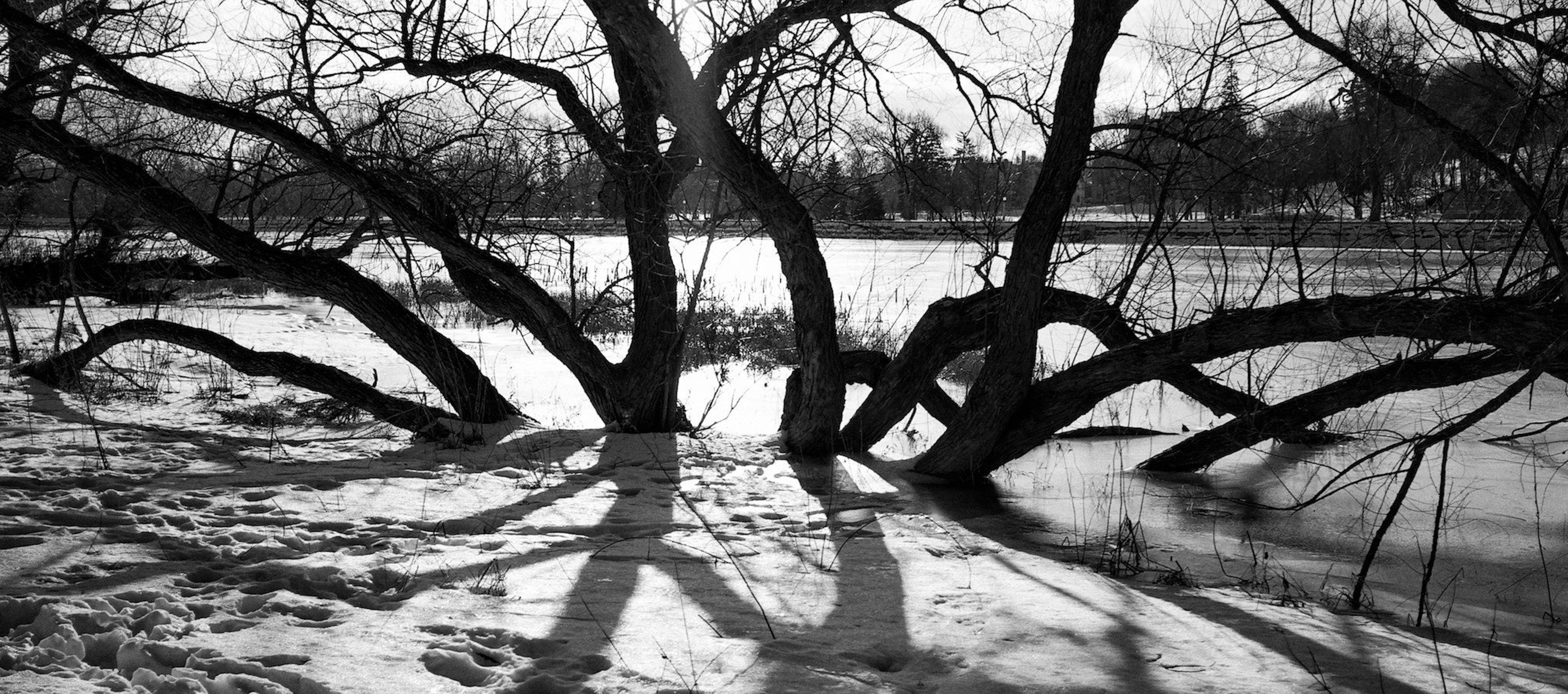 Photo by jonathankslim
