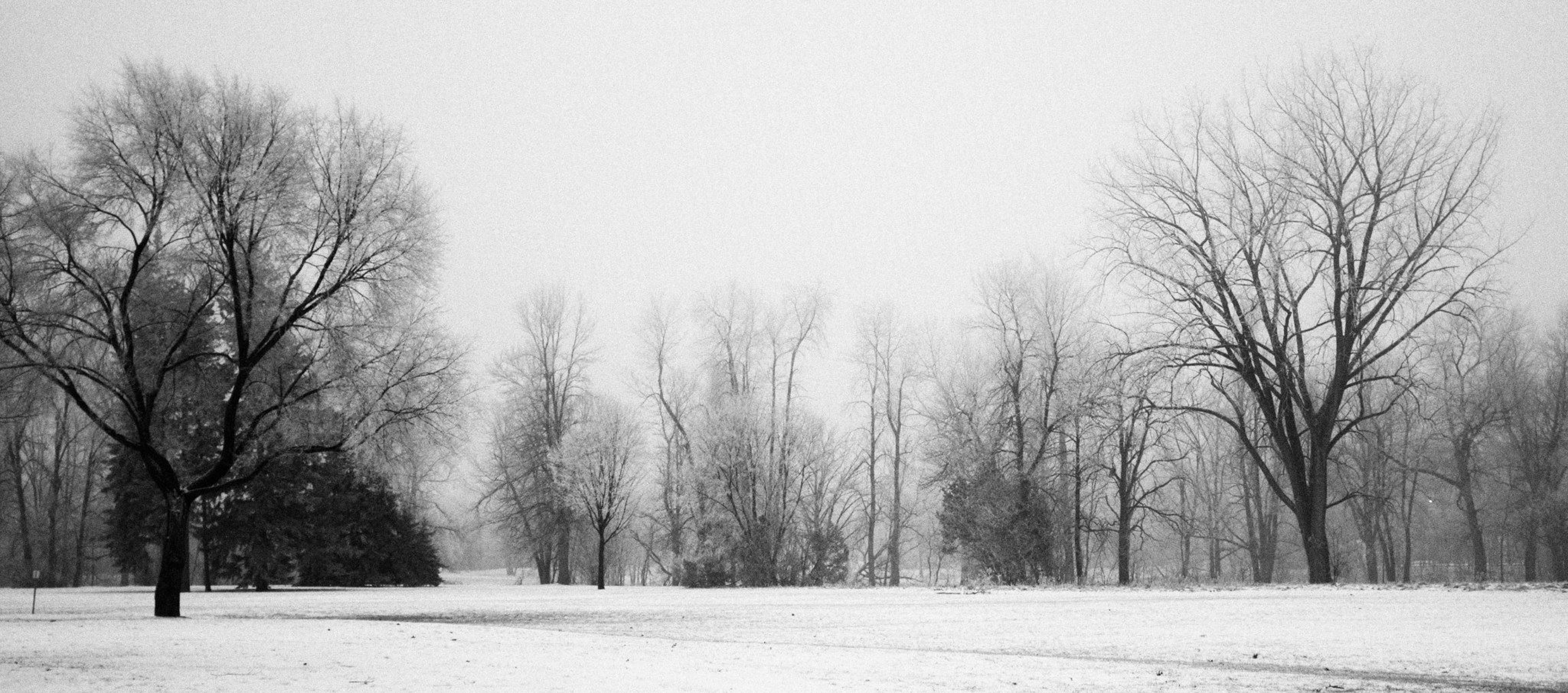 Photo by jonathankslim