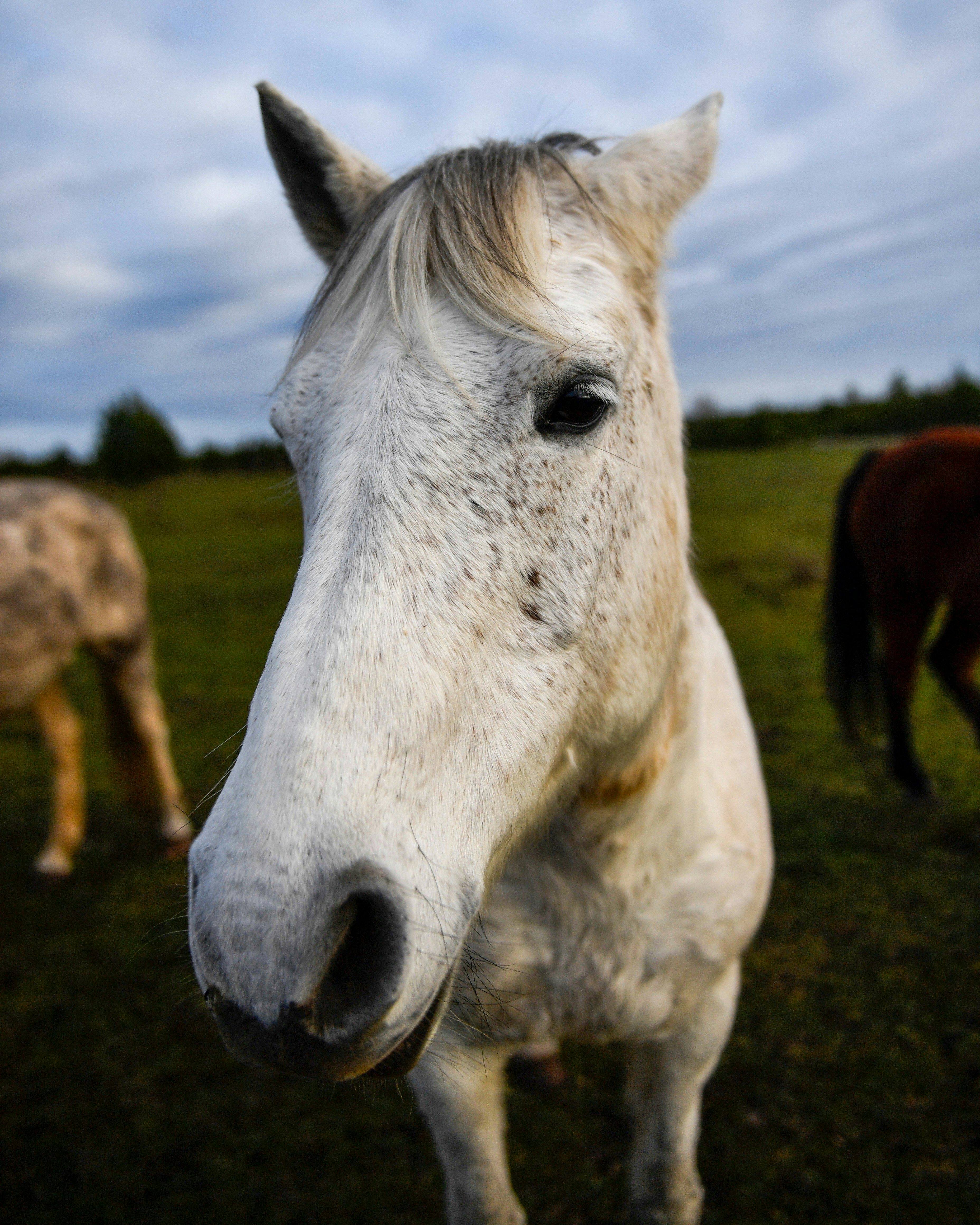 Photo by stadinstudio