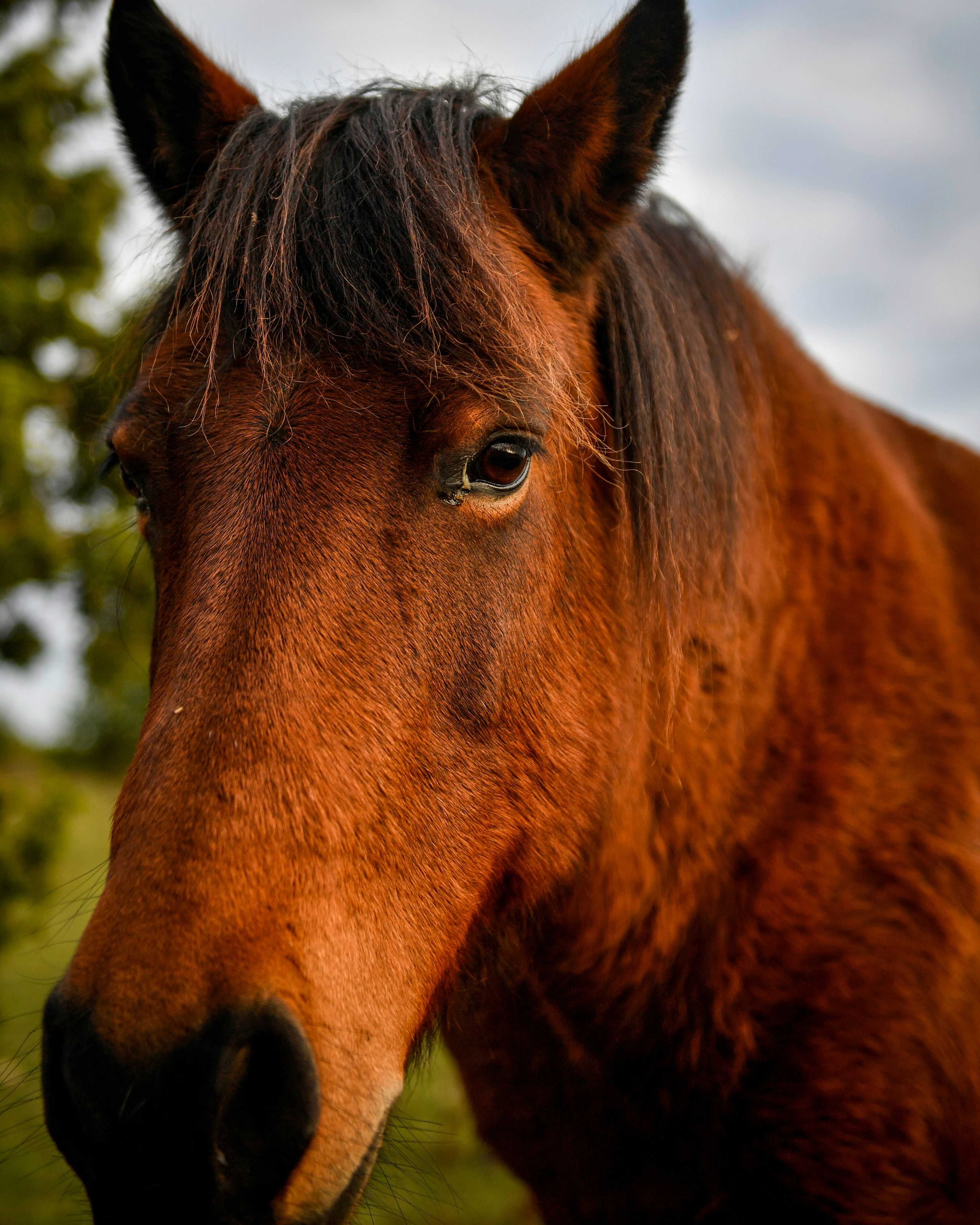 Photo by stadinstudio