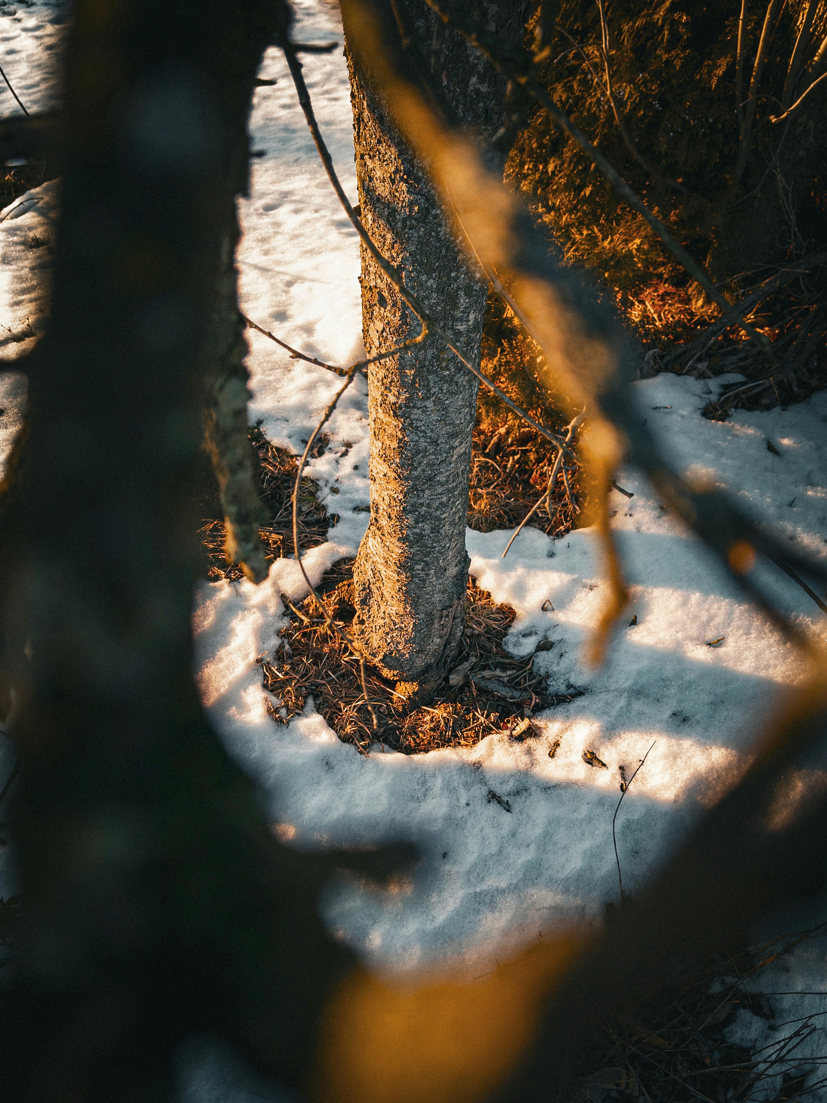 Photo by lucasaphotography