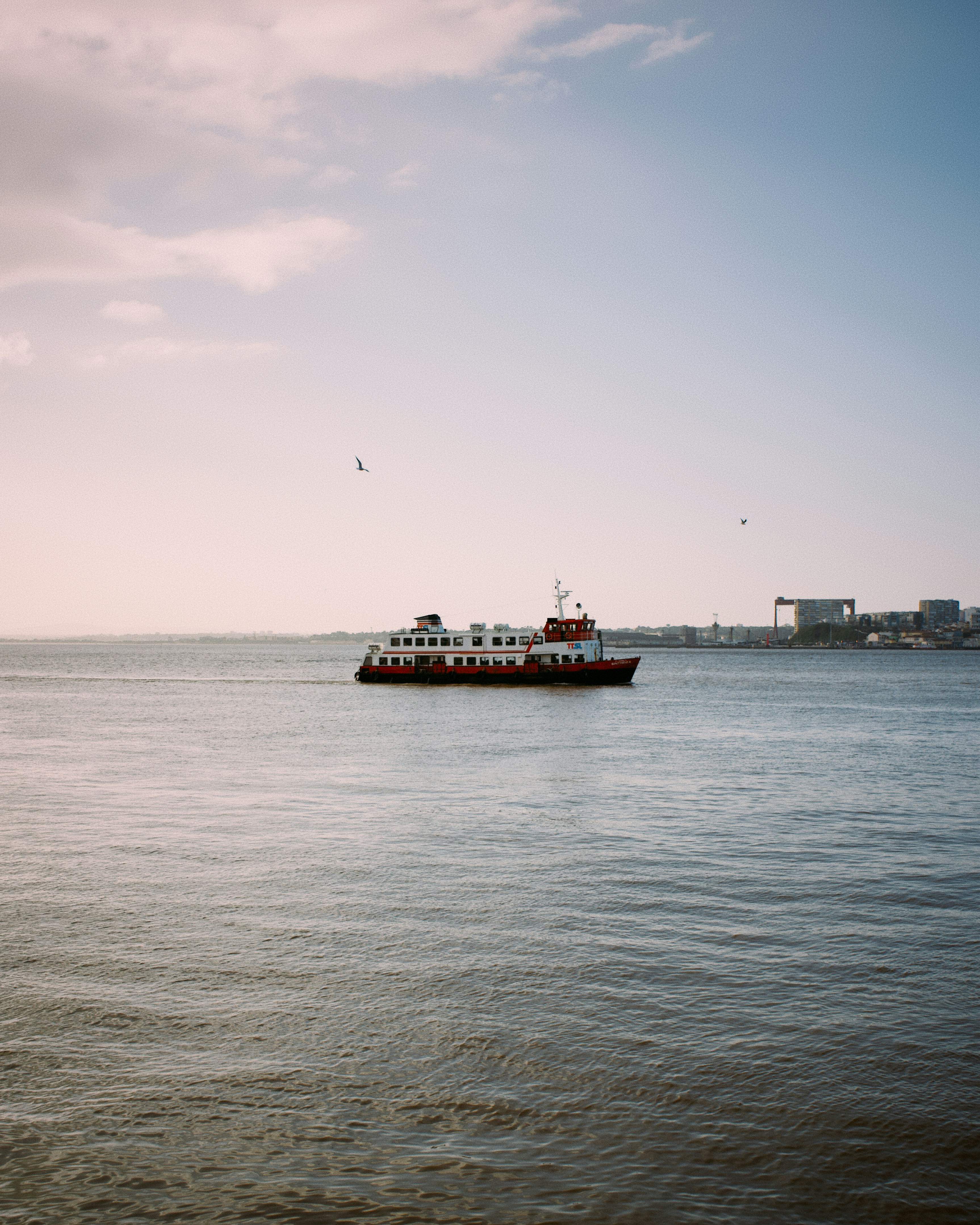 Un ferry navigue sur un plan d’eau calme.