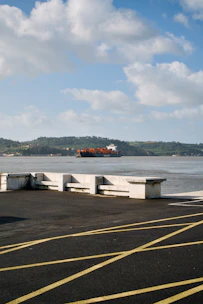 Cargo ship sailing on a wide river with hills beyond.
