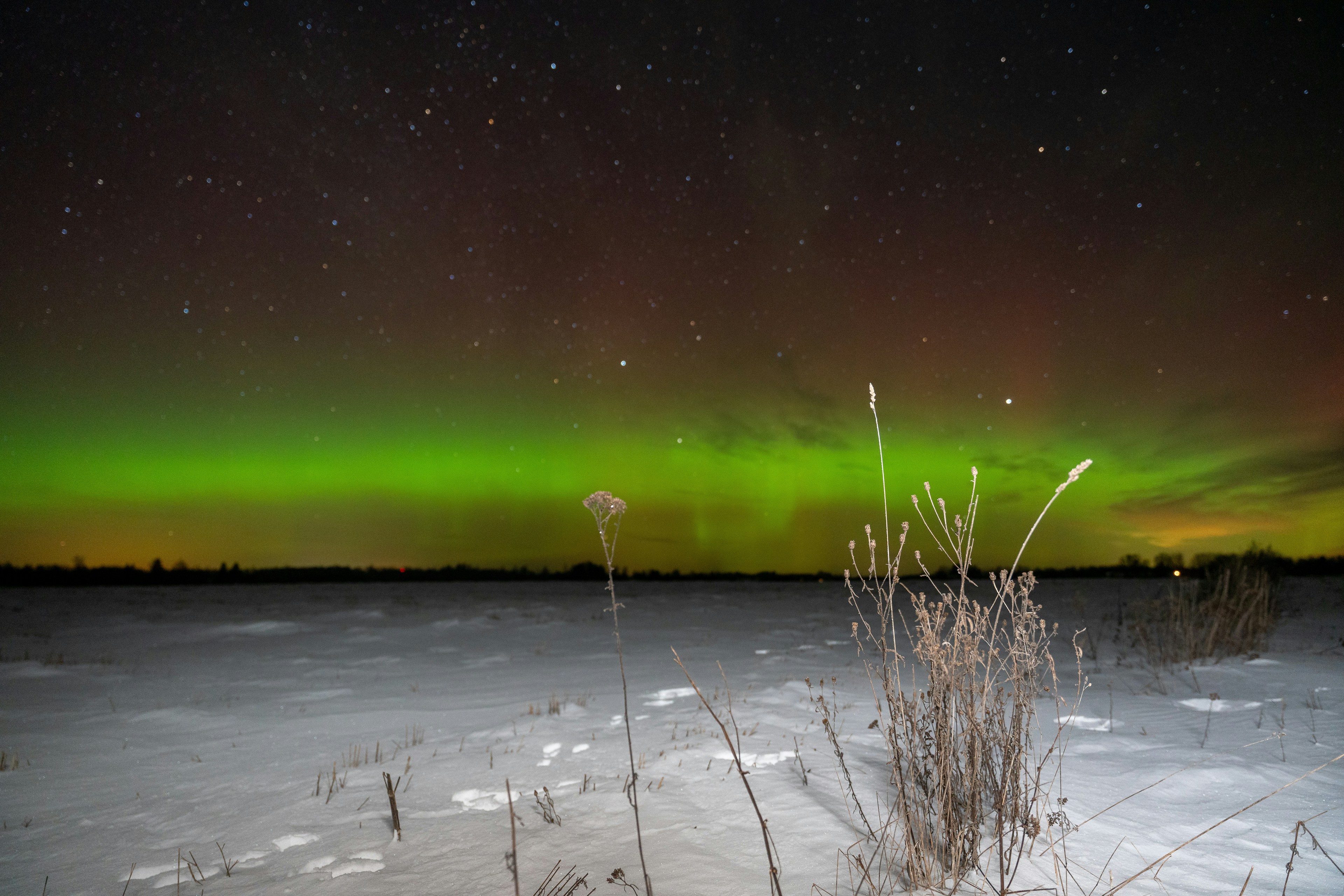 Aurora borealis over a snowy field at night.