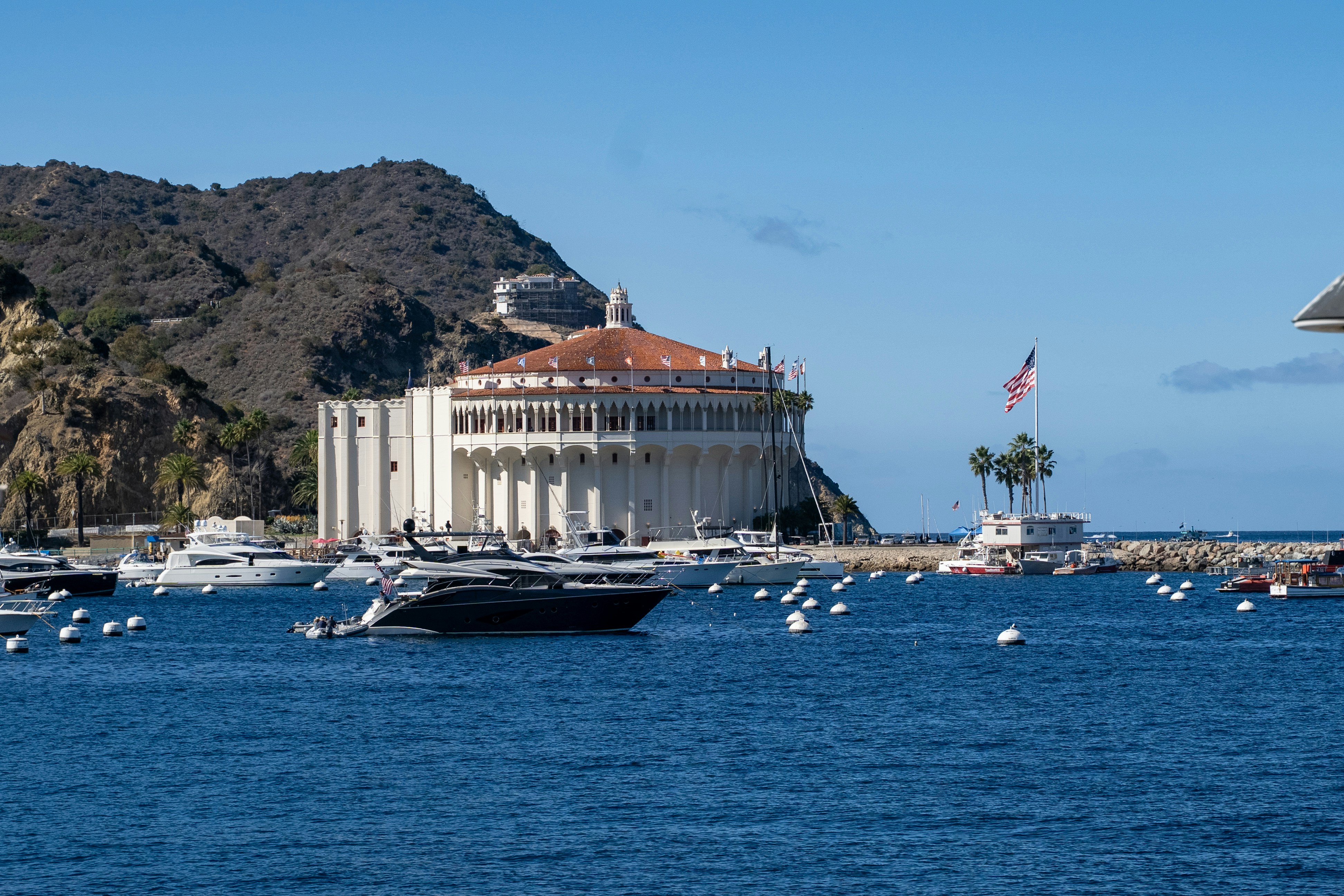 큰 건물과 섬이 있는 항구에 있는 배들.