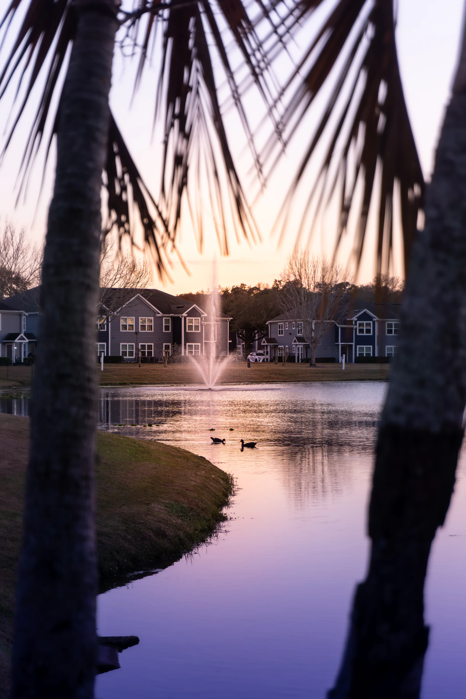Homes backing onto a quiet lake at dusk in a Central Florida community