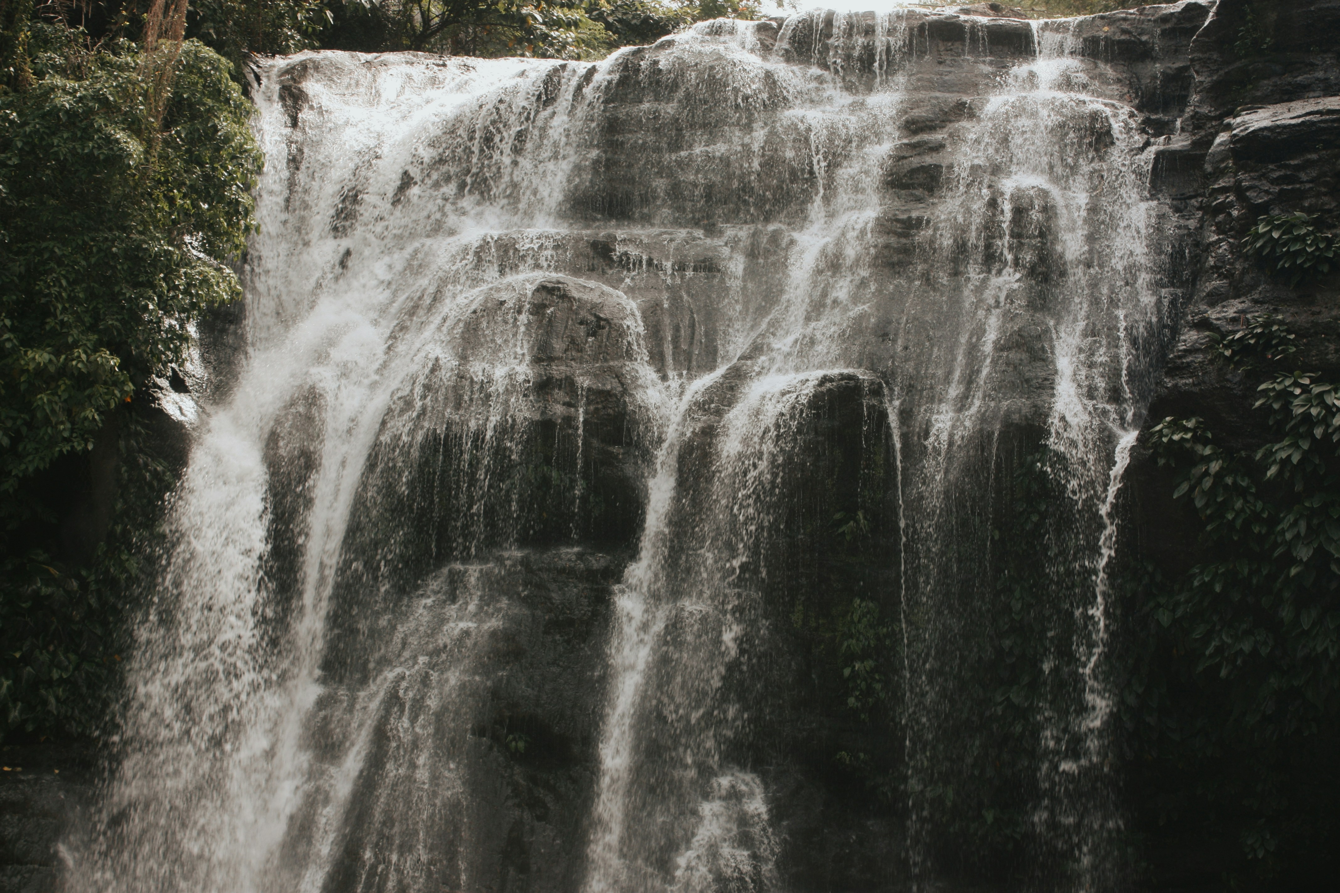 Photo by msophiaphotos