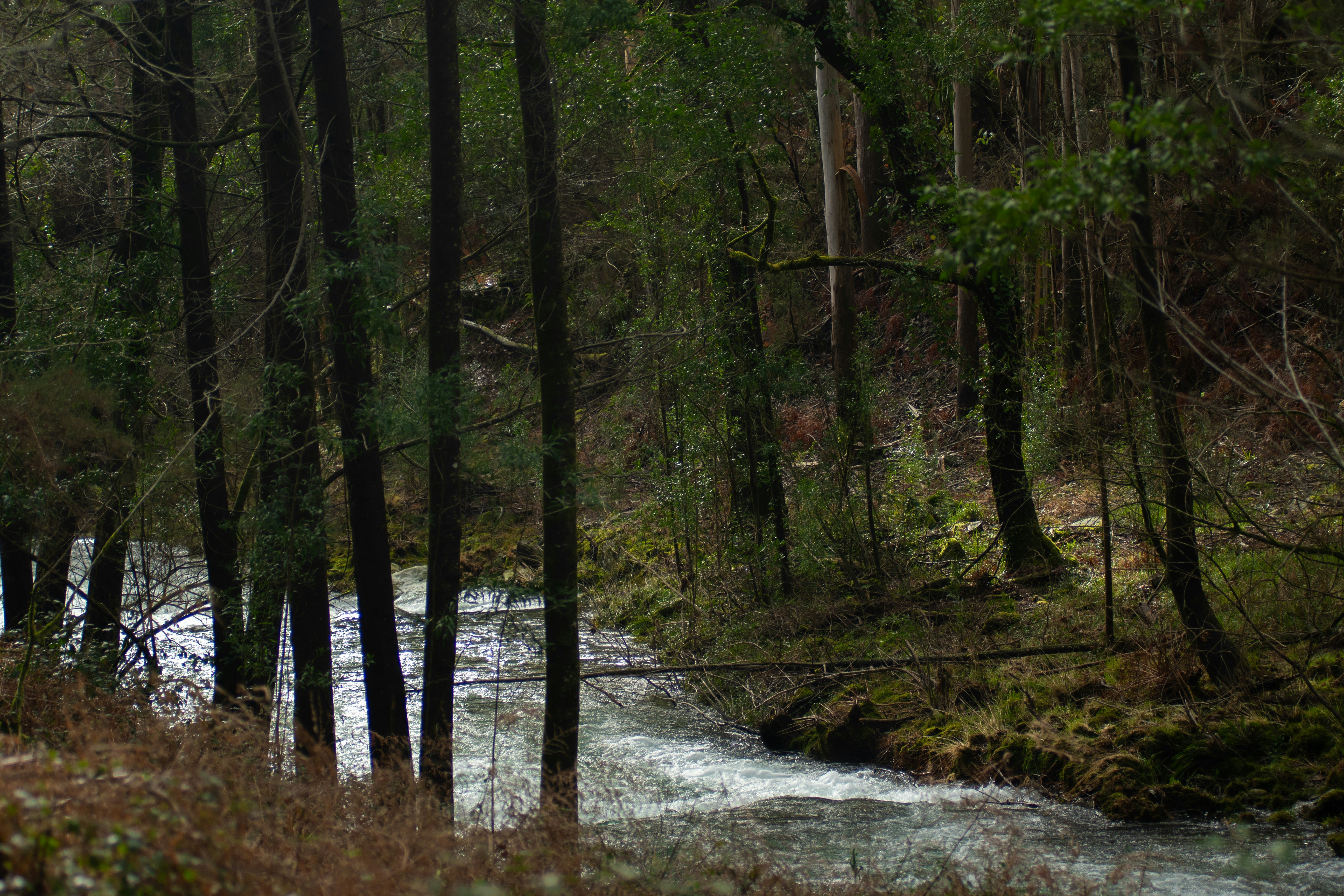 Photo by nataliaraylenegusakova