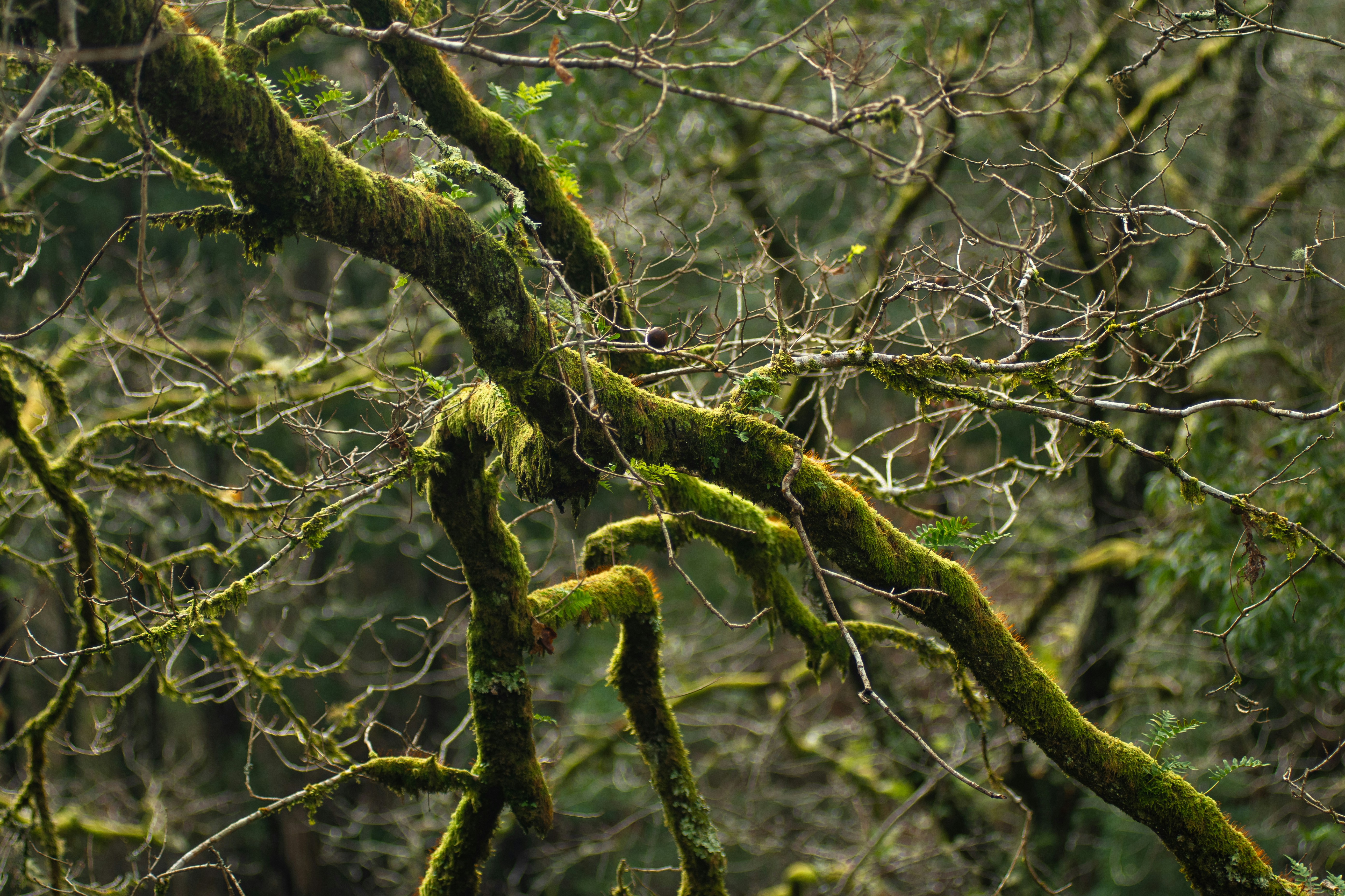 Photo by nataliaraylenegusakova