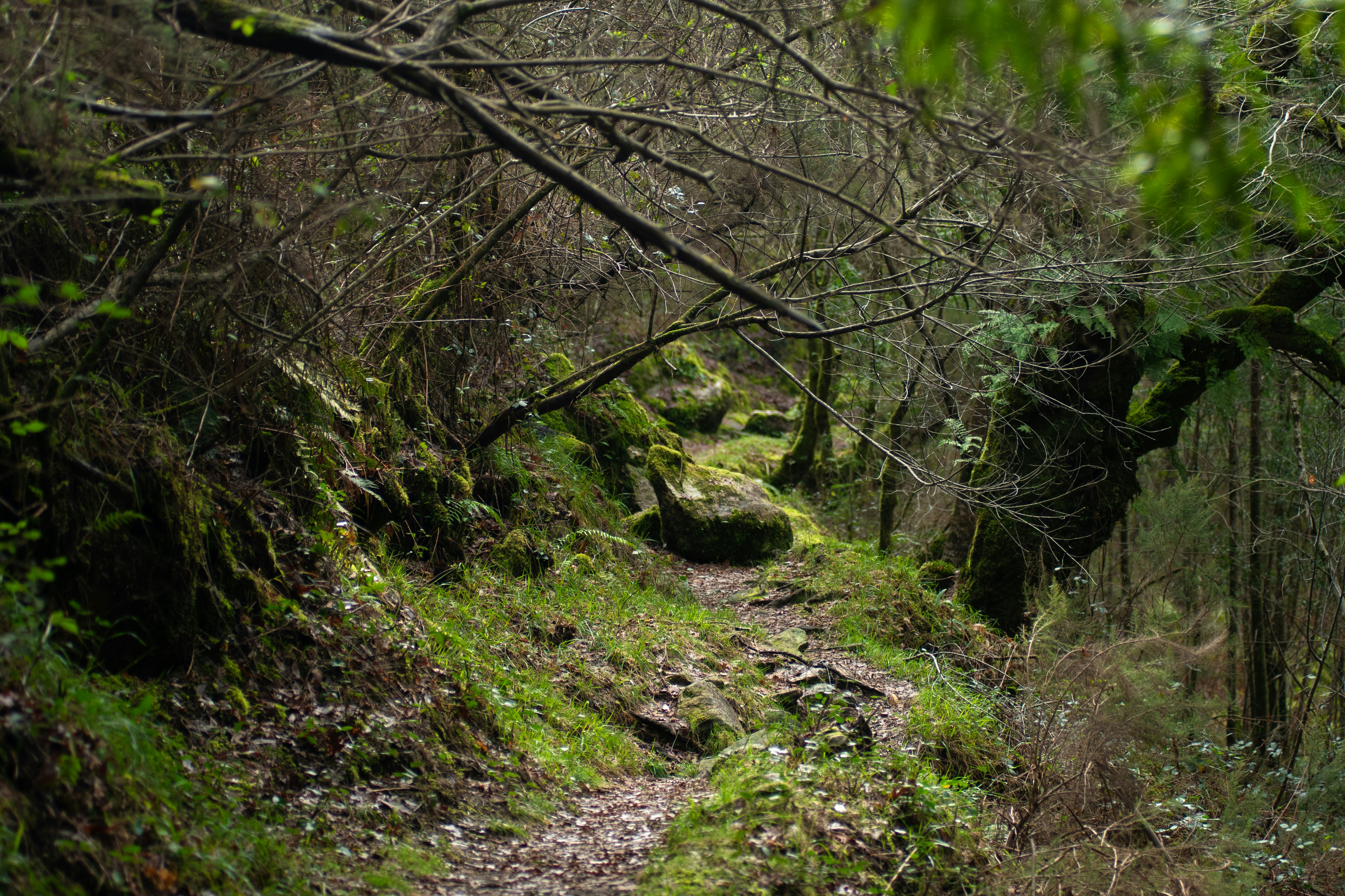 Photo by nataliaraylenegusakova