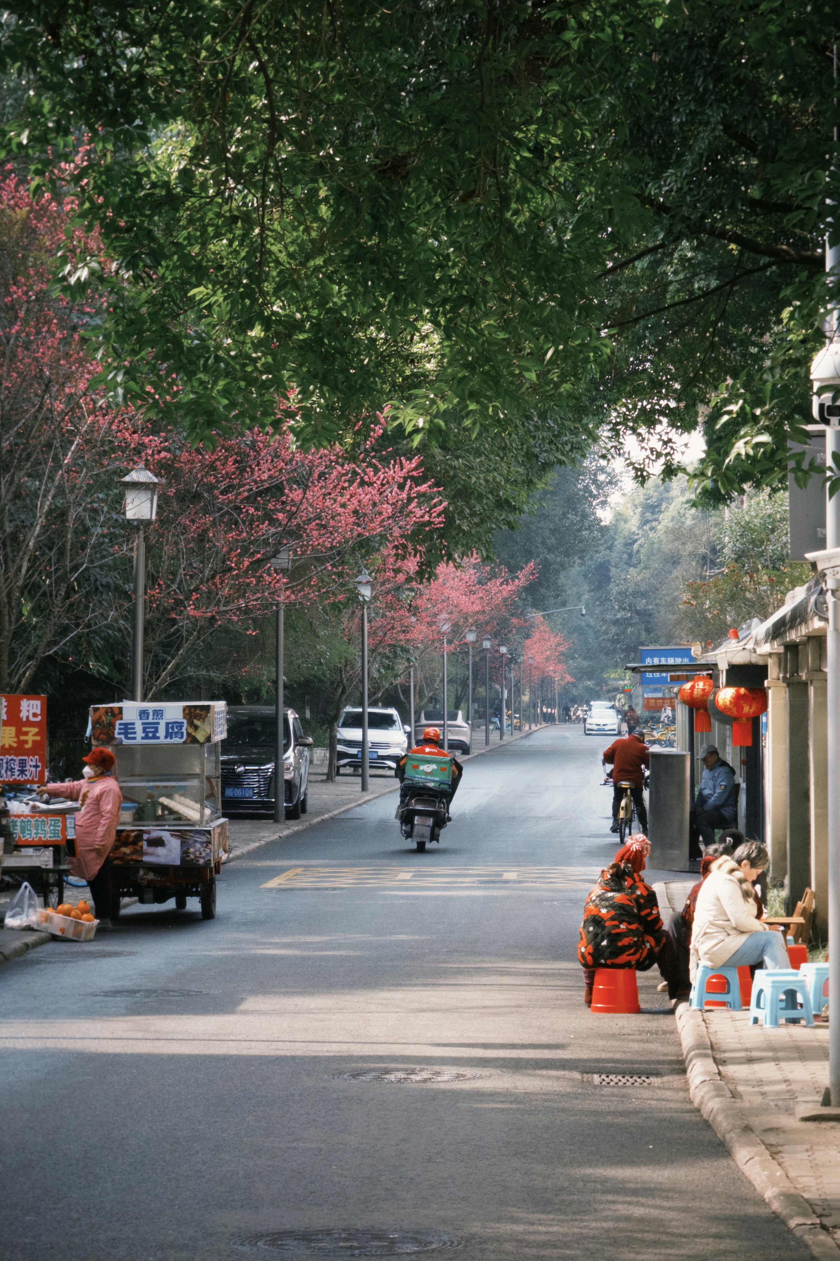 Street scene with blooming trees and vendors