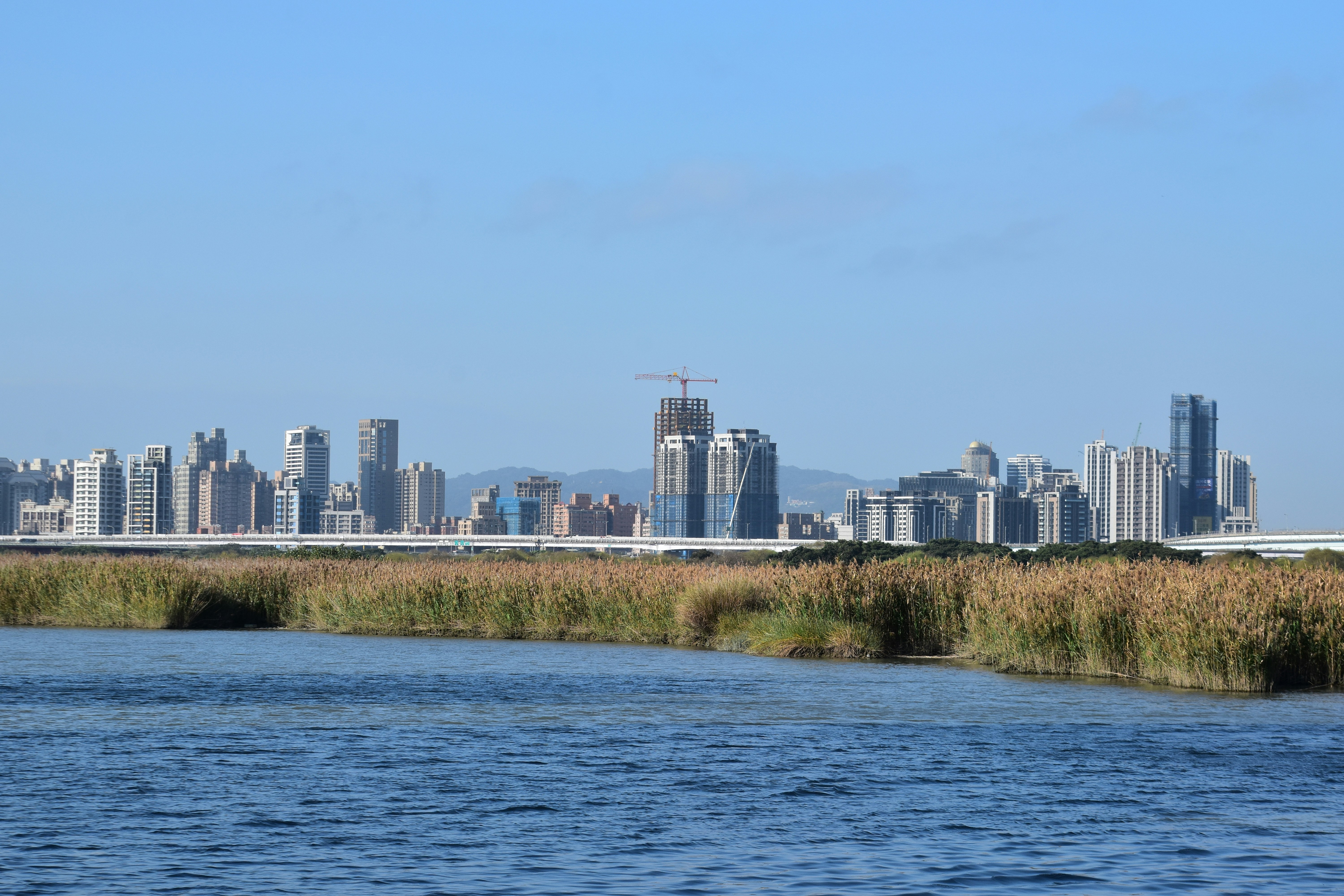 urban green development