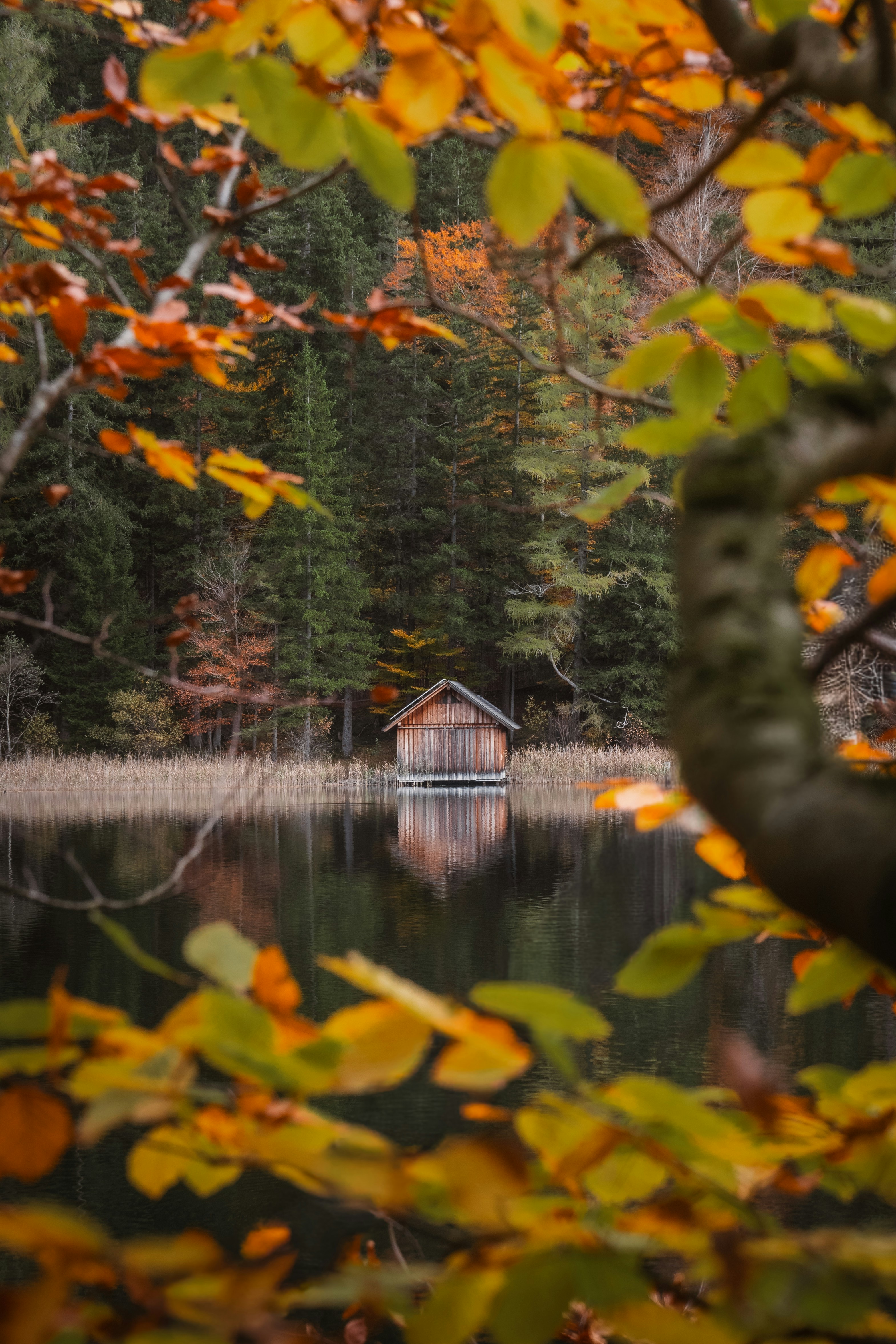 Photo by ahmetyuksek