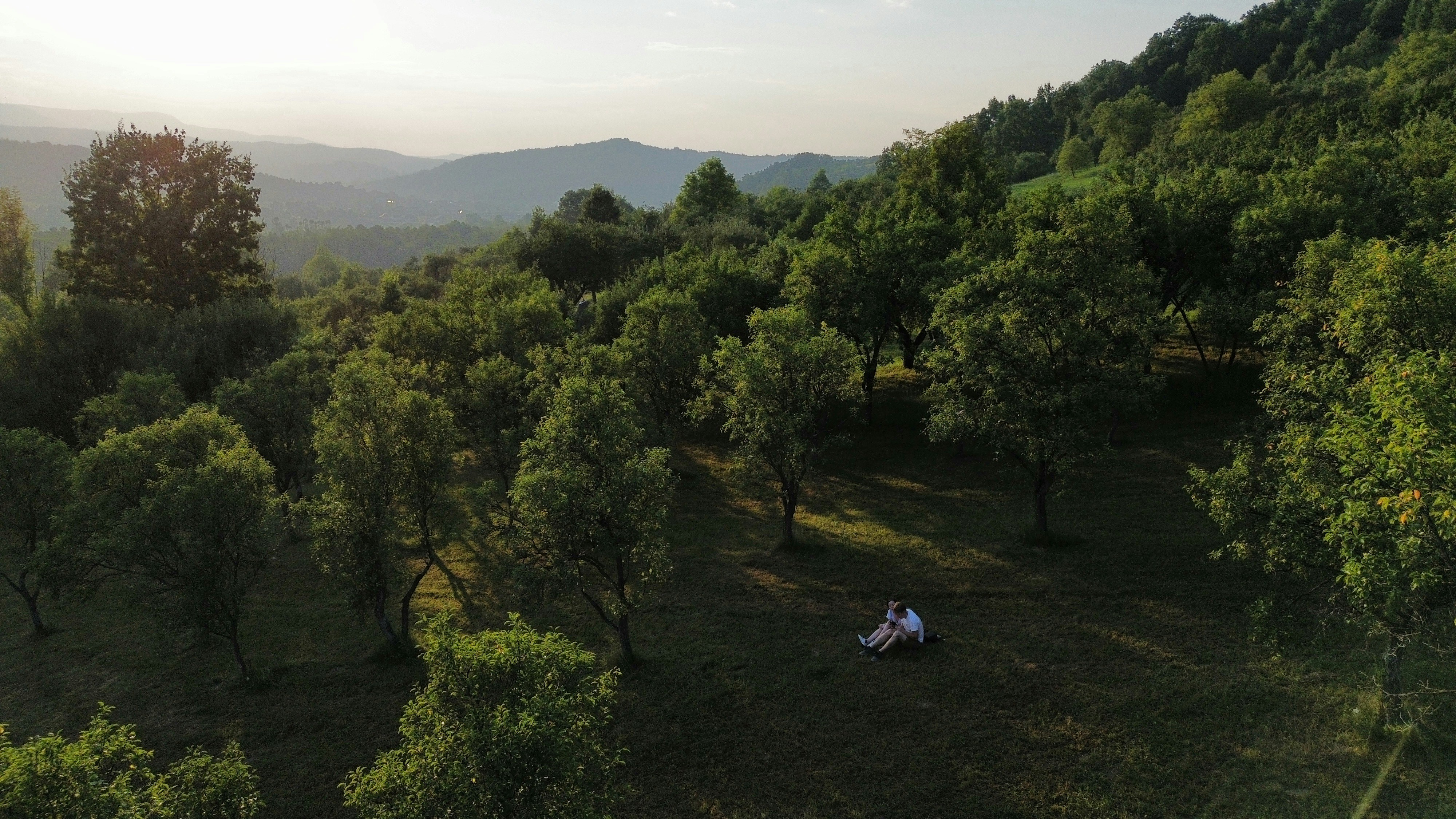Couple sitting on grassy hill with trees 풍경 사진