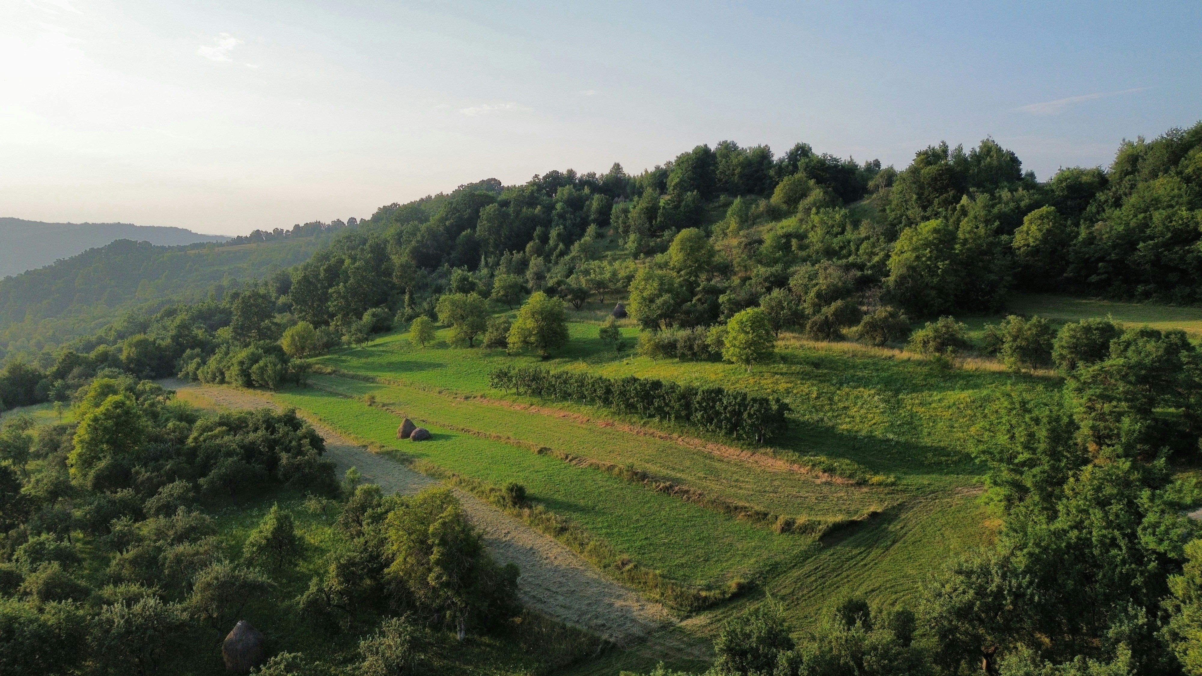 Photo by danielmiksha