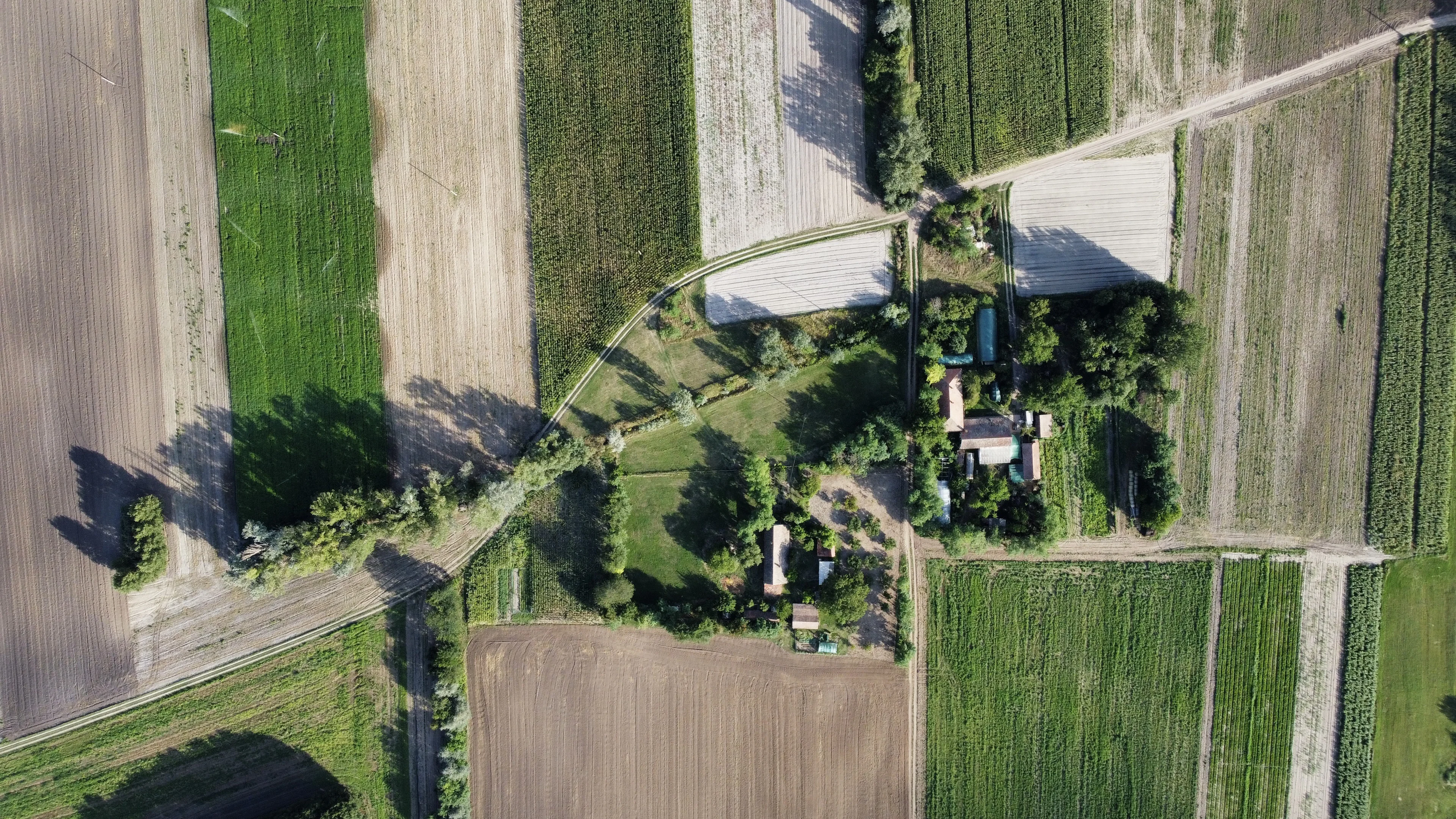 Aerial view of level farmland divided into fields