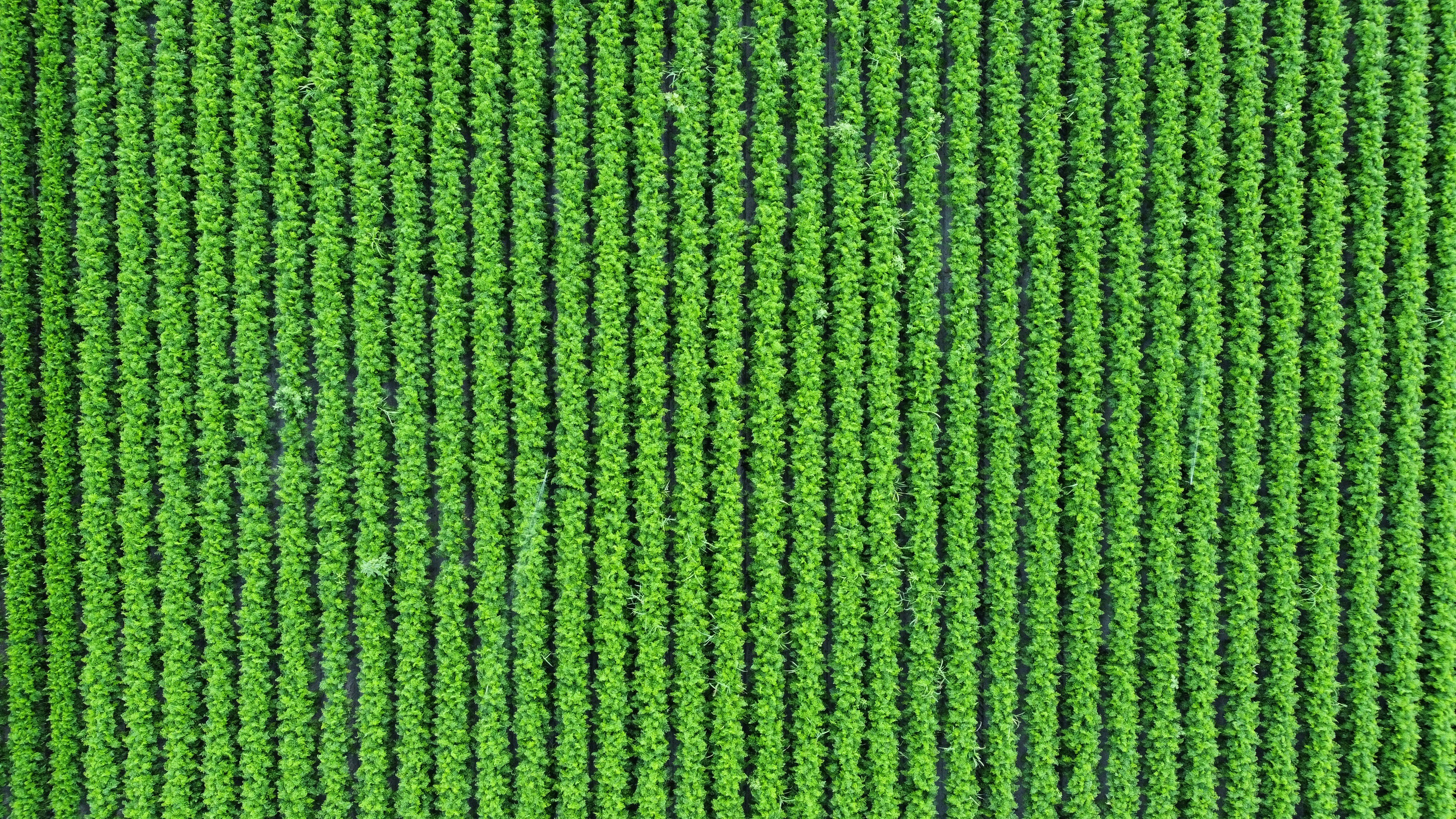 Photo by danielmiksha