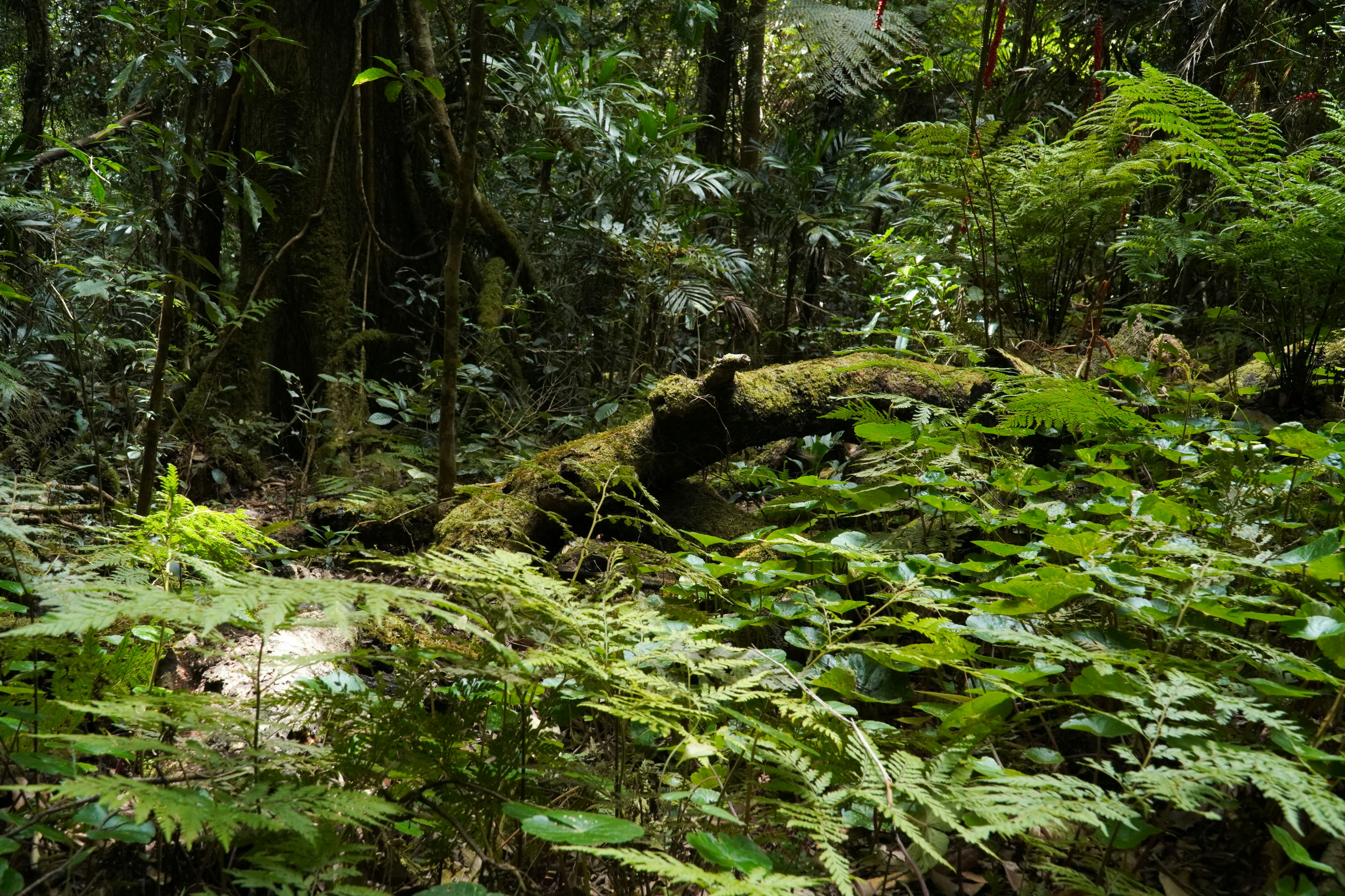 Photo by matcaptures