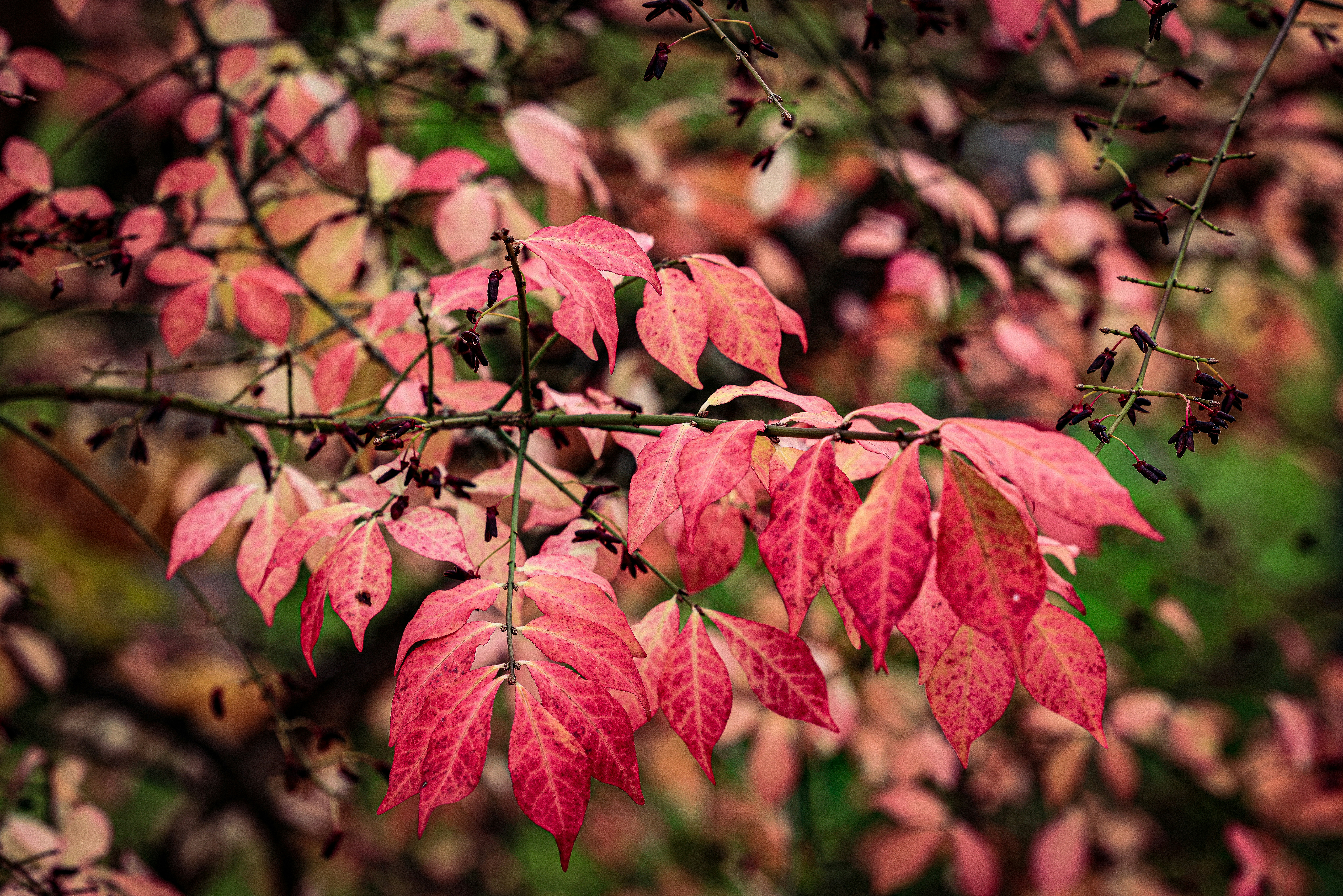 Photo by maximilian_brand