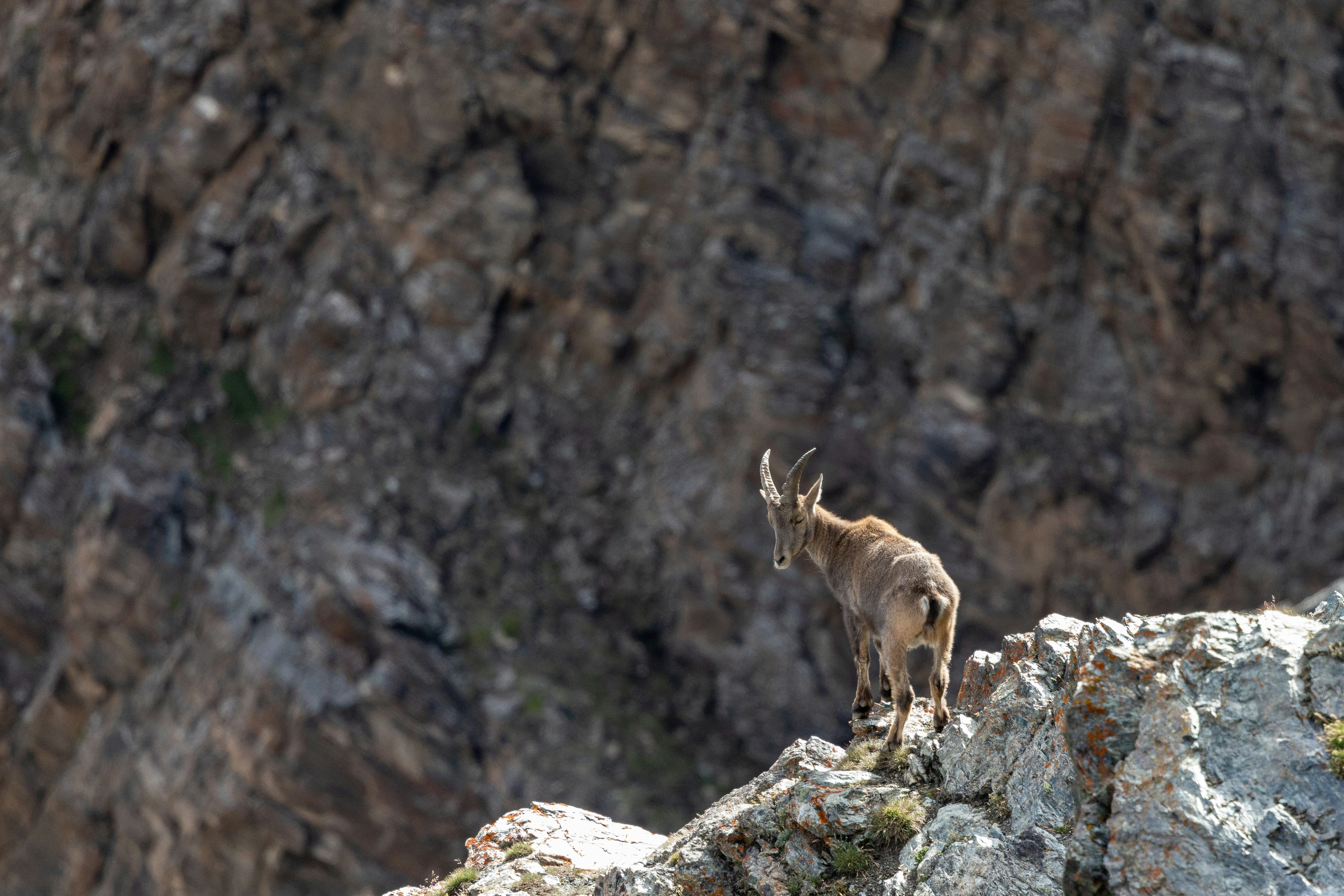 Photo by janis_photography