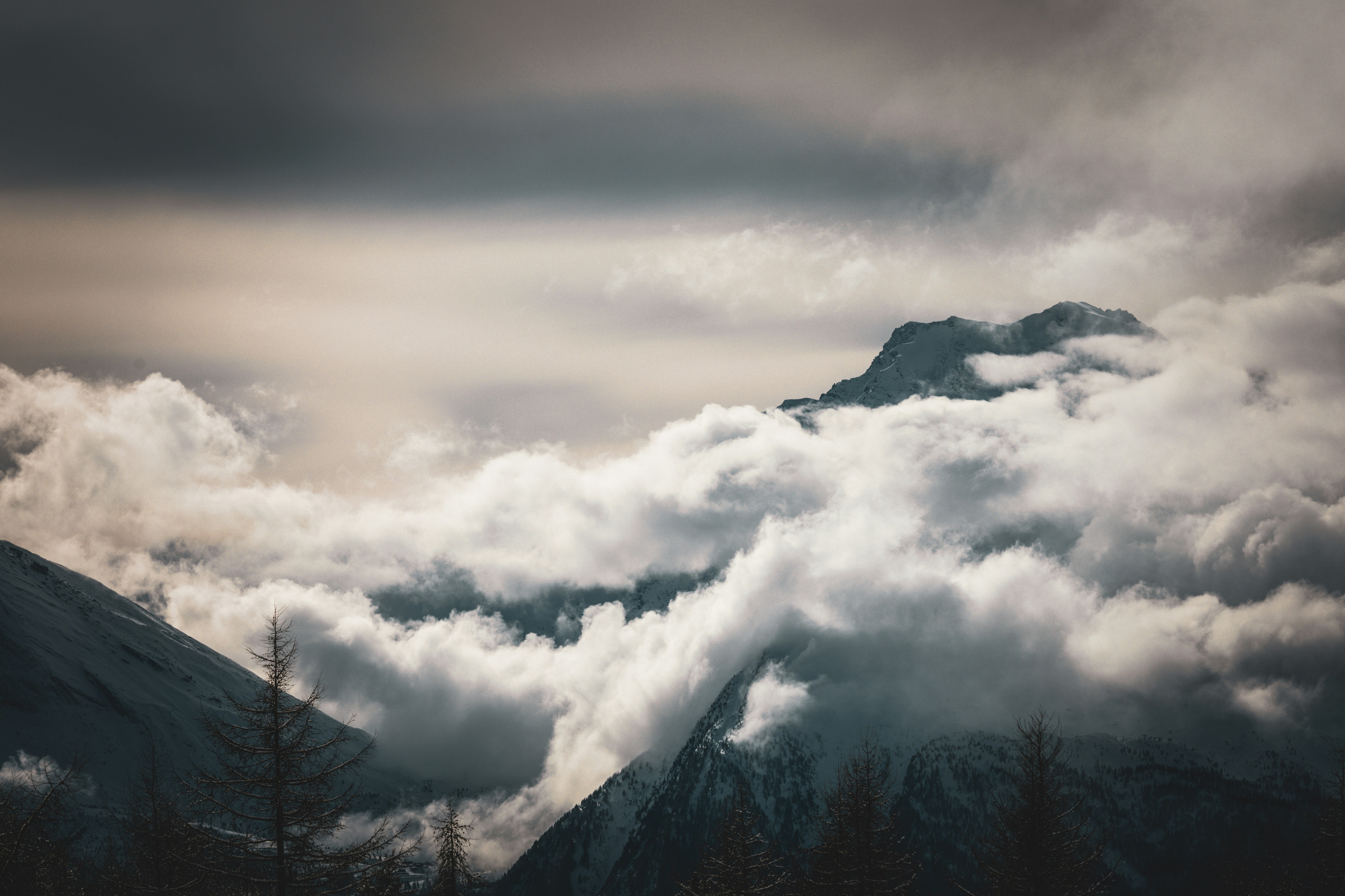 Photo by janis_photography