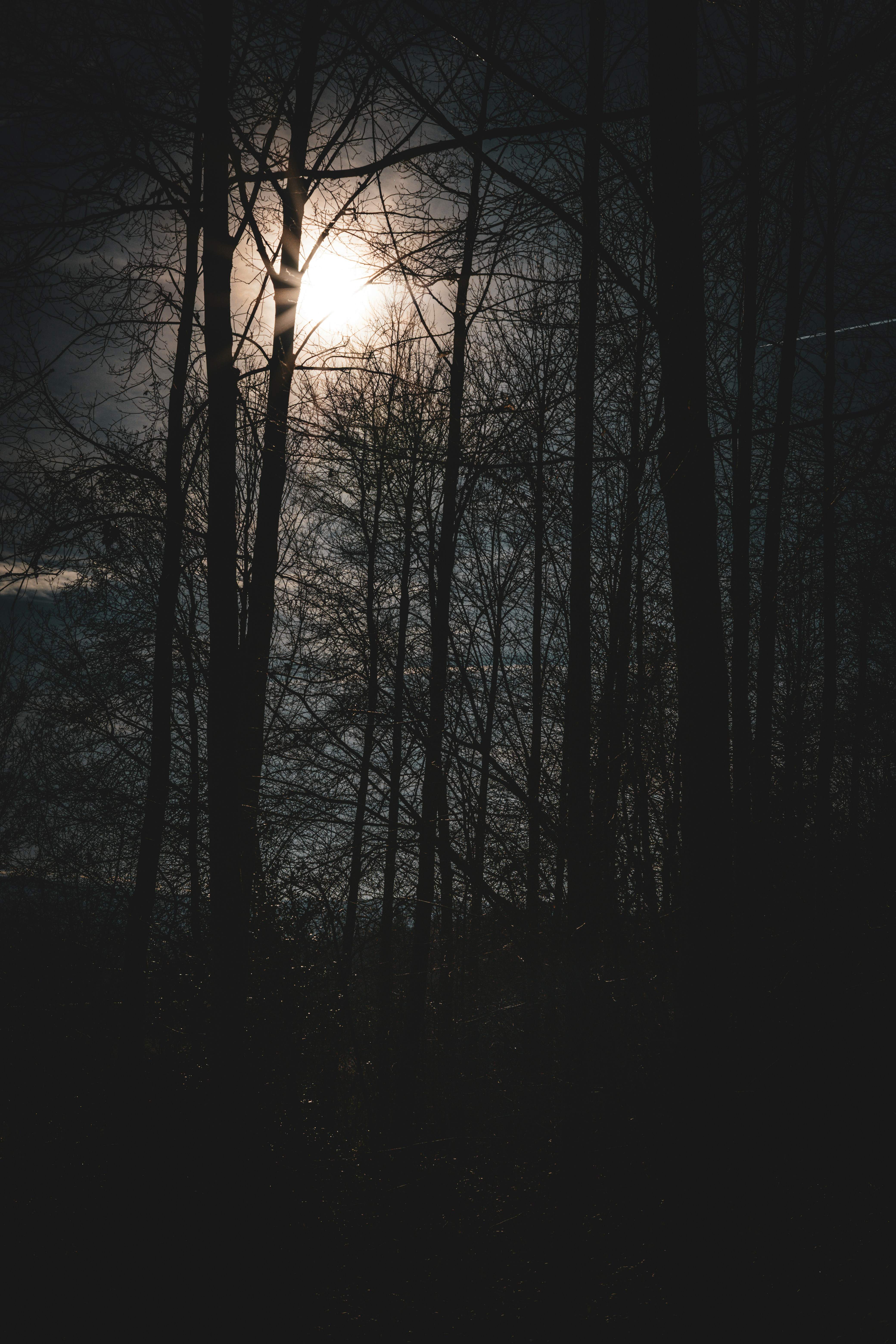 Photo by janis_photography