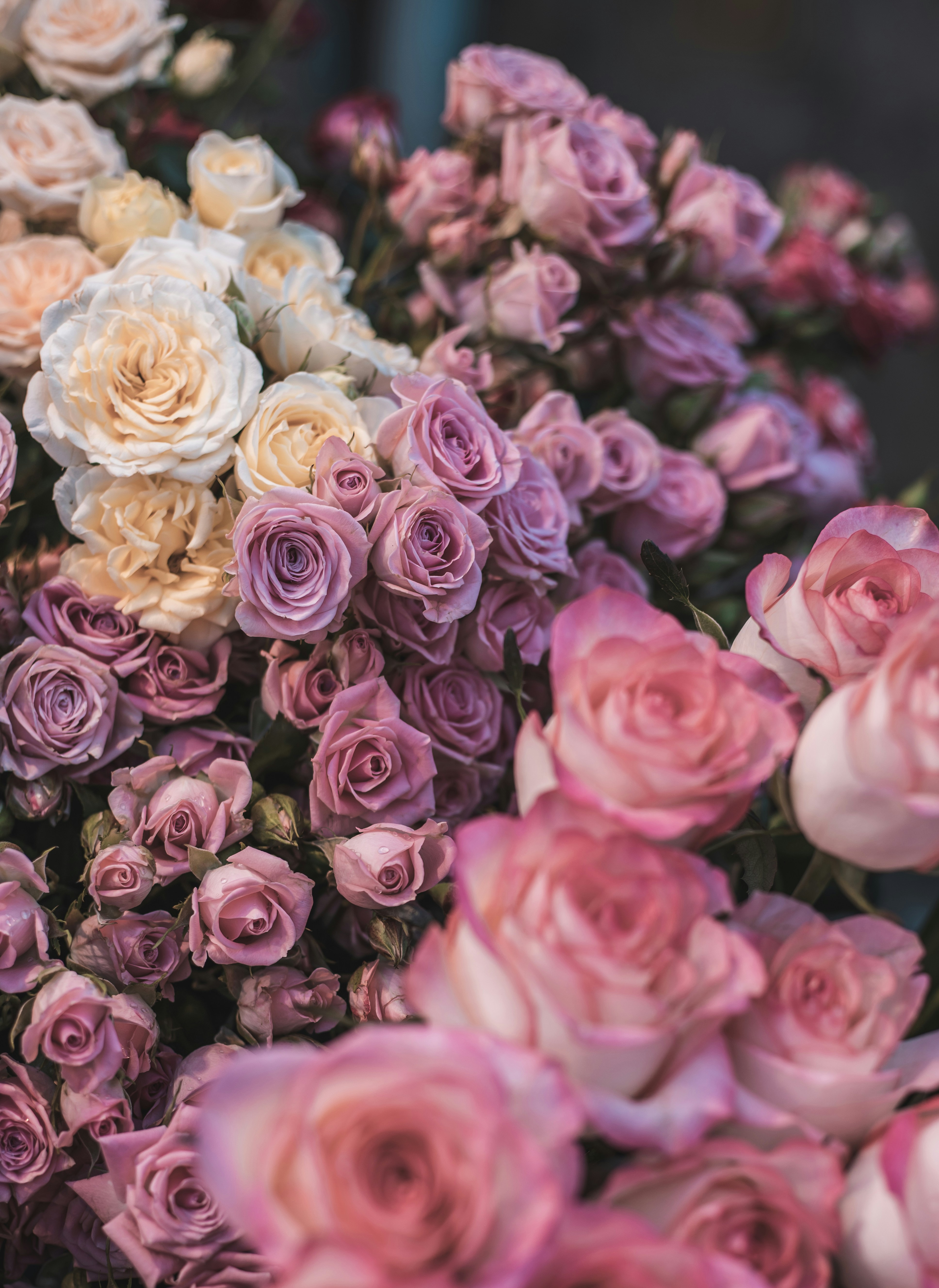 event planning pastel, wallpaper, Plus-Ones and Guest List Boundaries: A Guide 4